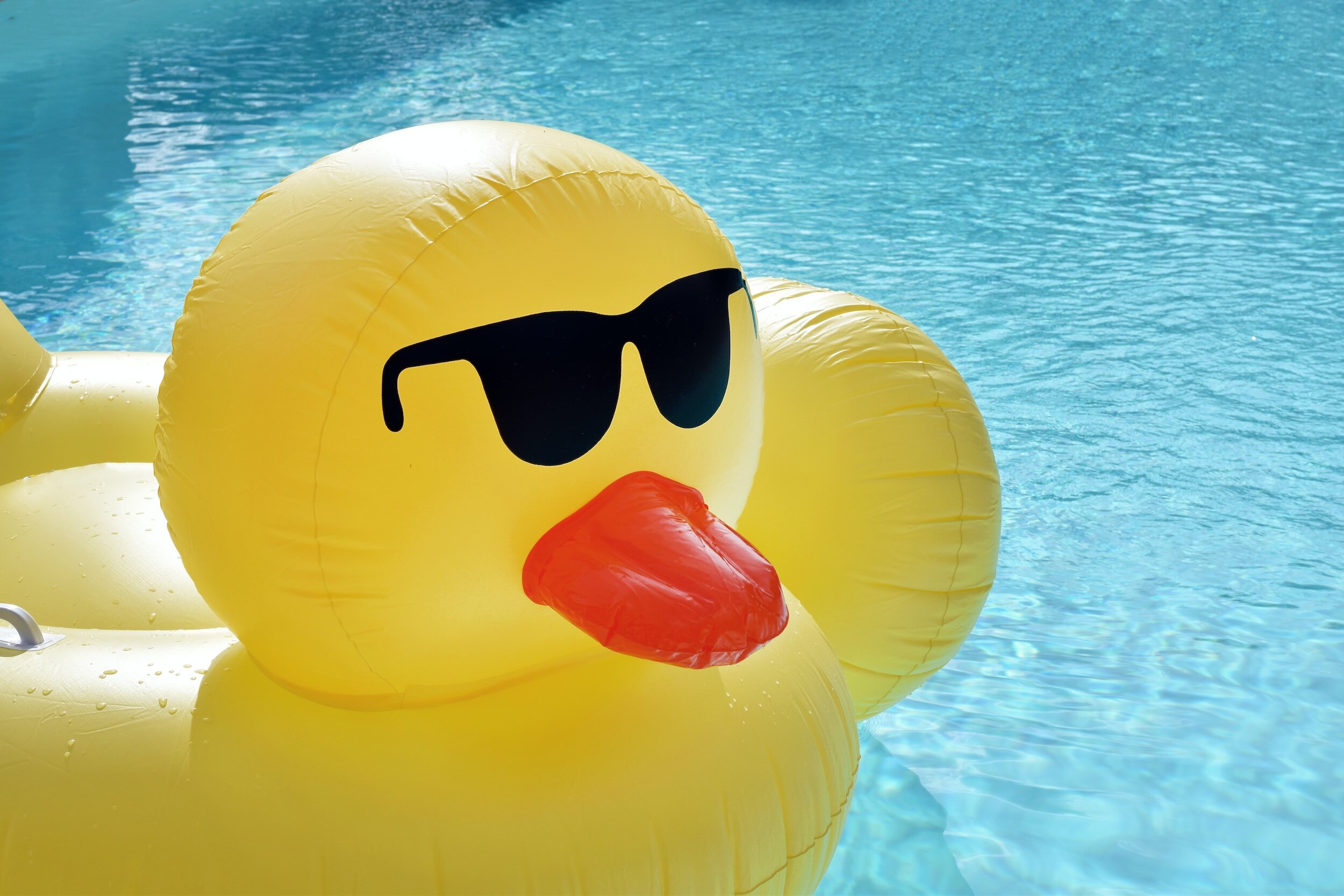 Pool Party at Shelbyville swimming pool 6:15 to 8:15 p.m.