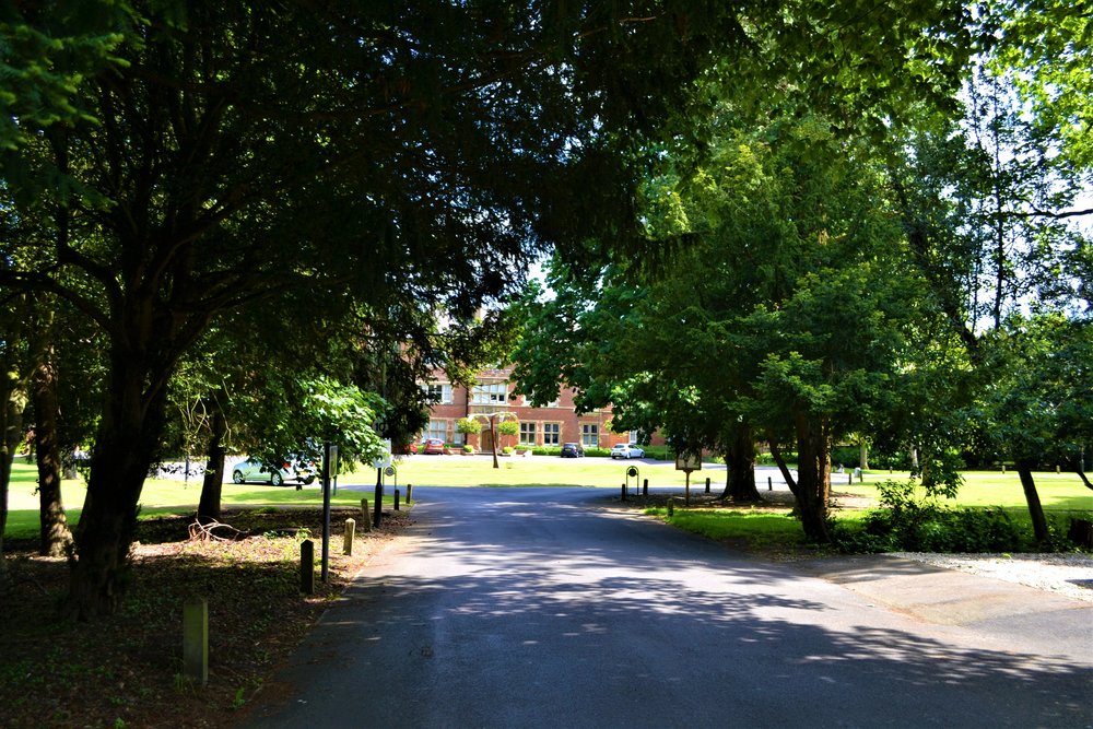 Fairmile, Cholsy Tree avenue approach to former Asylum.JPG