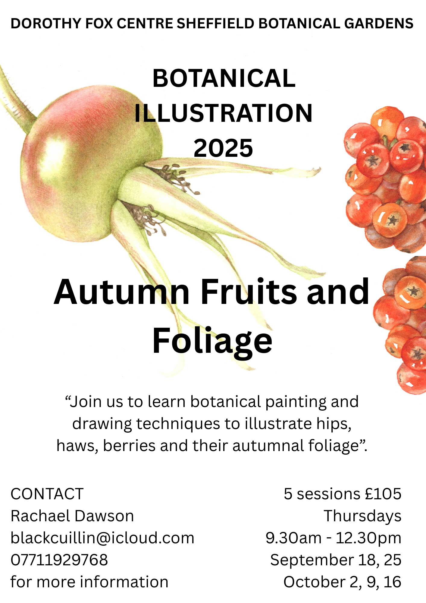 Autumn Fruits and Foliage Botanical Painting and Drawing - 5 date course