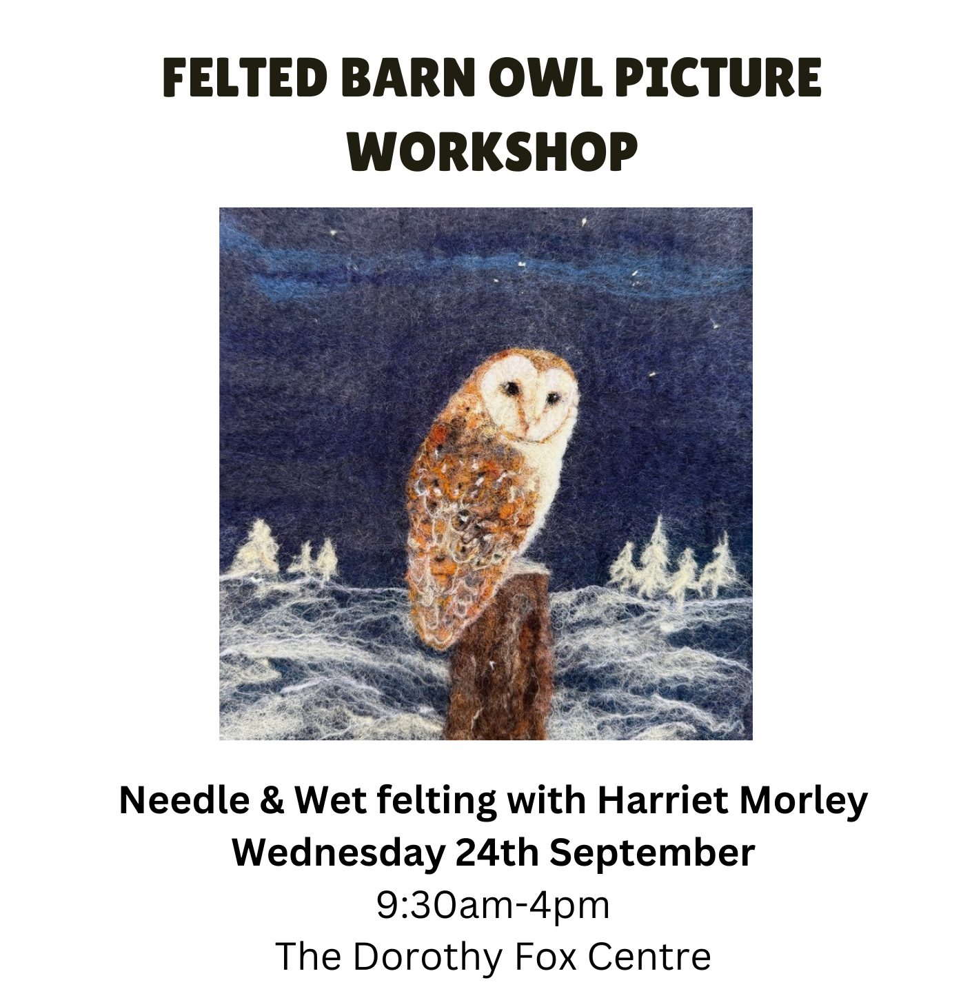 Felted Barn Owl Picture Workshop