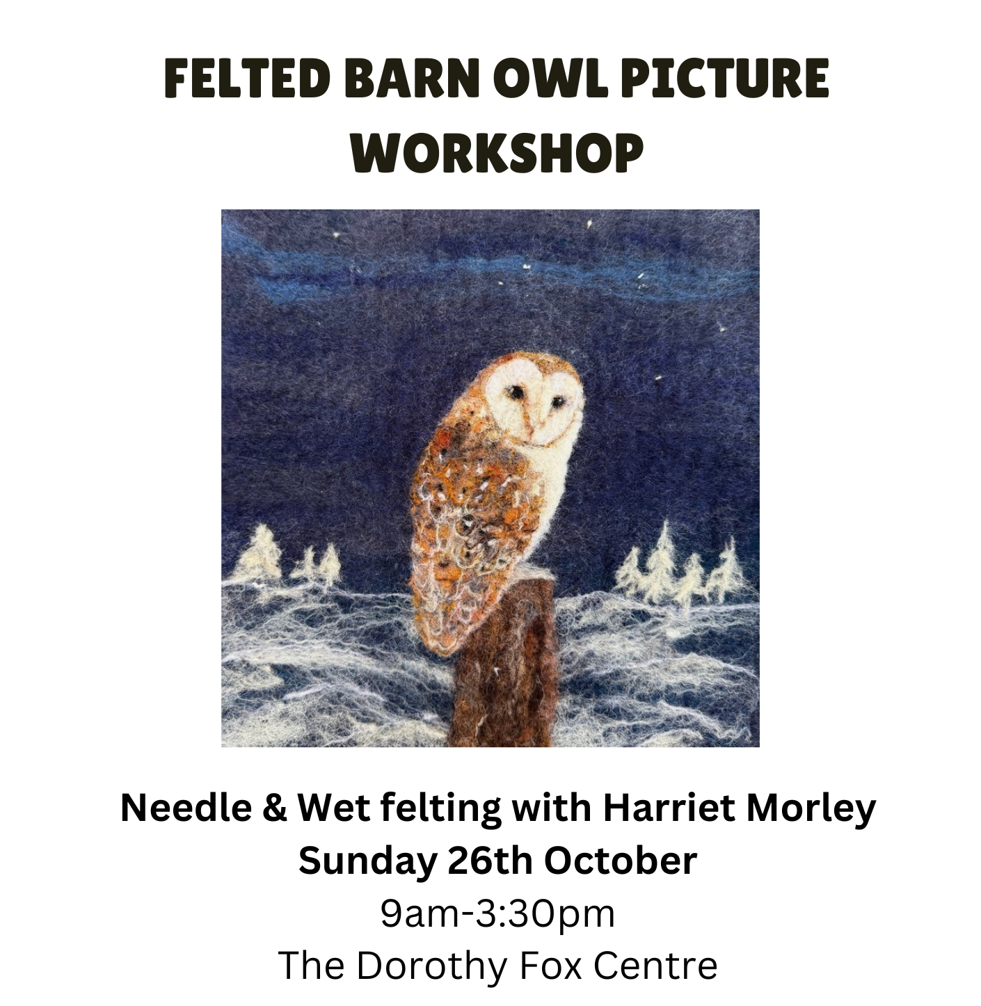 Felted Barn Owl Picture Workshop