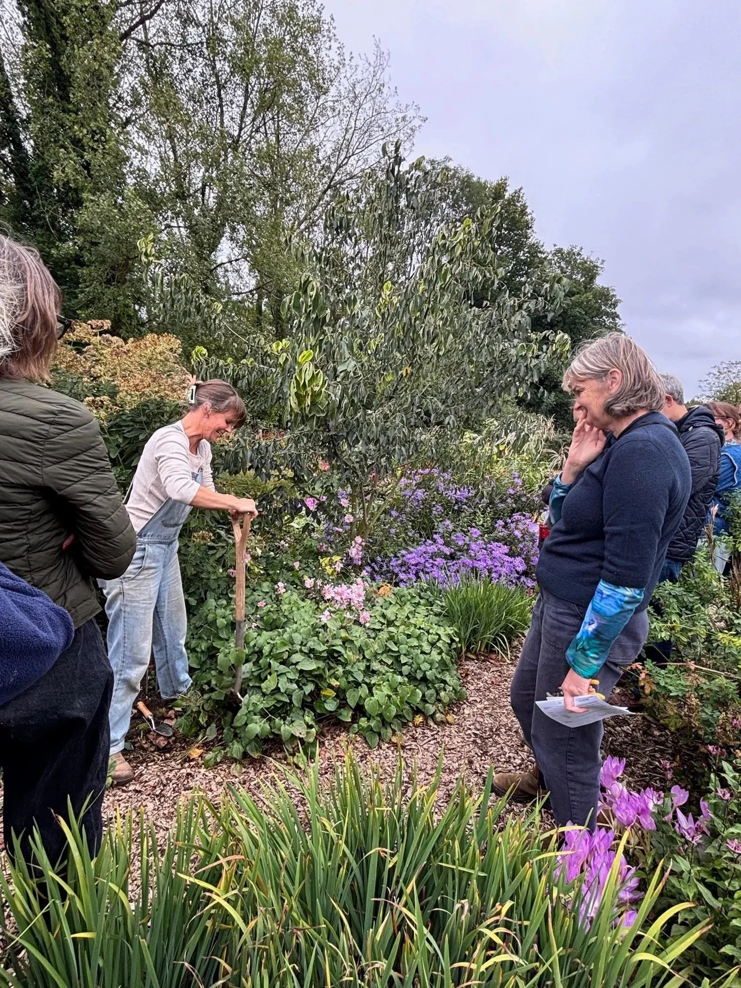 Becky fincham ‘The Serge Hill Project for Gardening, Creativity and Health’ online lecture