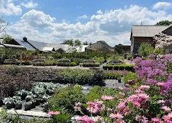 A Future for Horticulture...Without Digital - John Foley