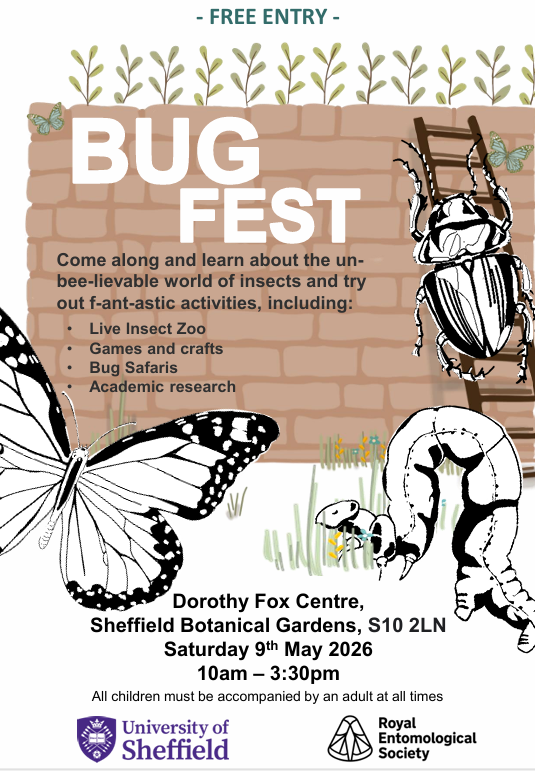 Bug Fest!