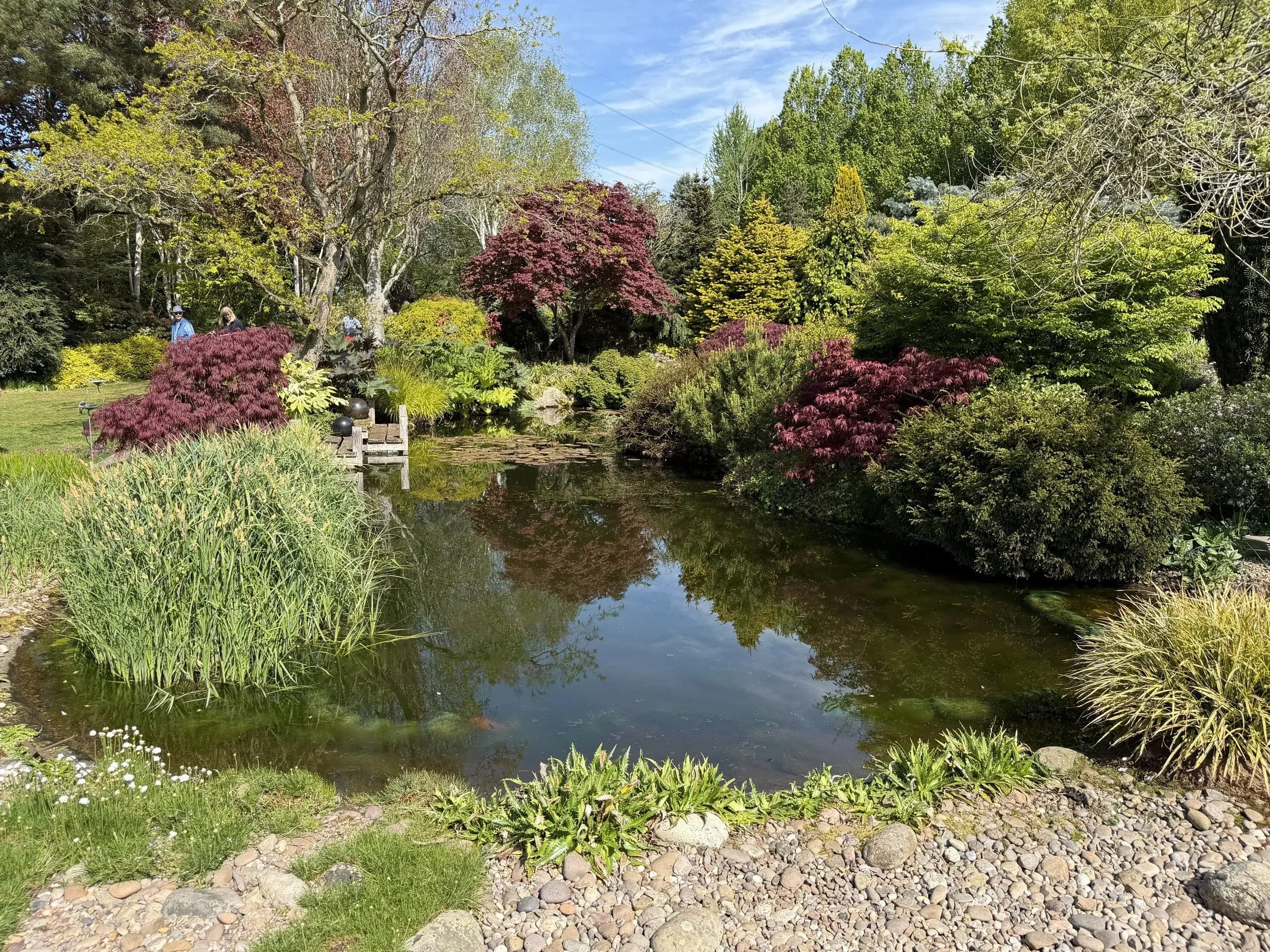 A garden for all seasons based on John Masseys garden at Ashwood