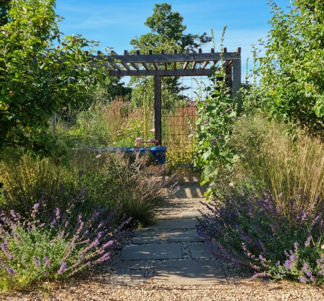Introduction to Garden Design - with Guy Petherham