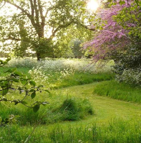 Creating Greener Gardens - with Guy Petherham