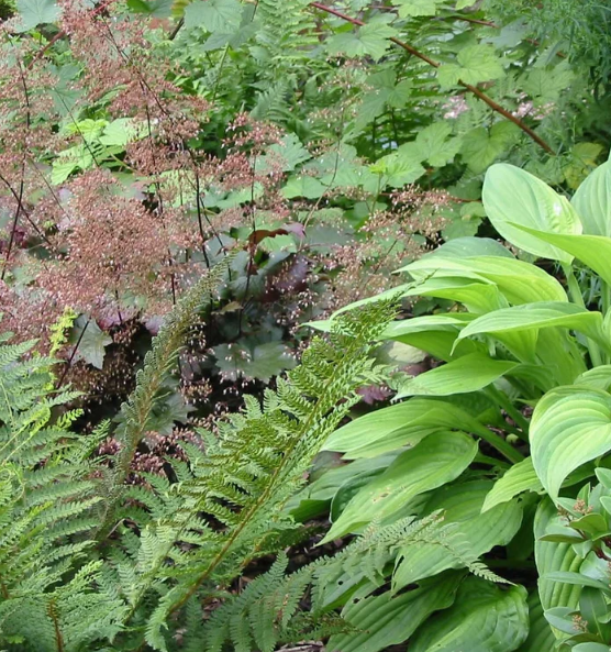 Introduction to Planting Design - with Guy Petherham