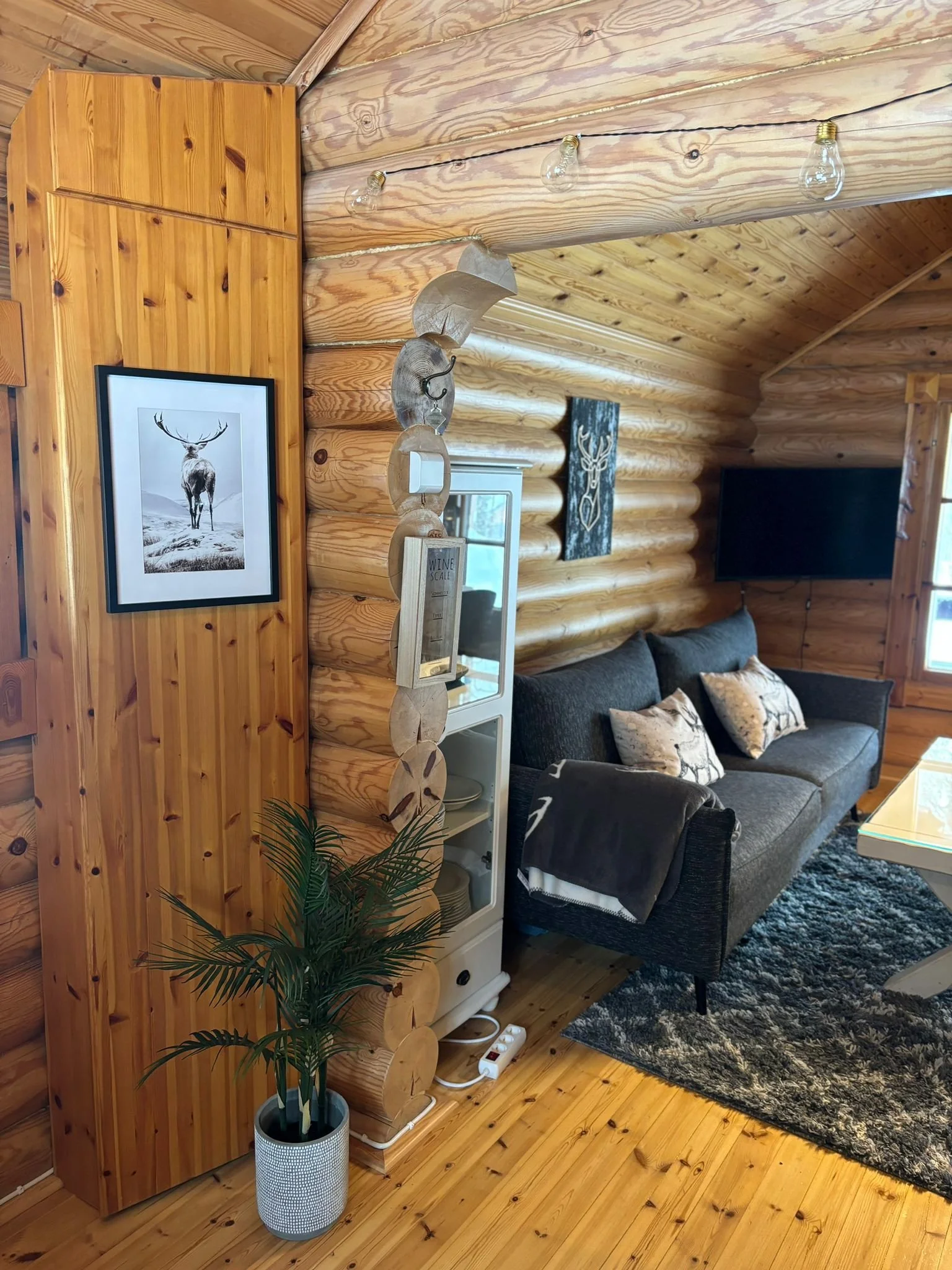 WhatsApp Image 2024-09-19 at 14.36.58.jpeg