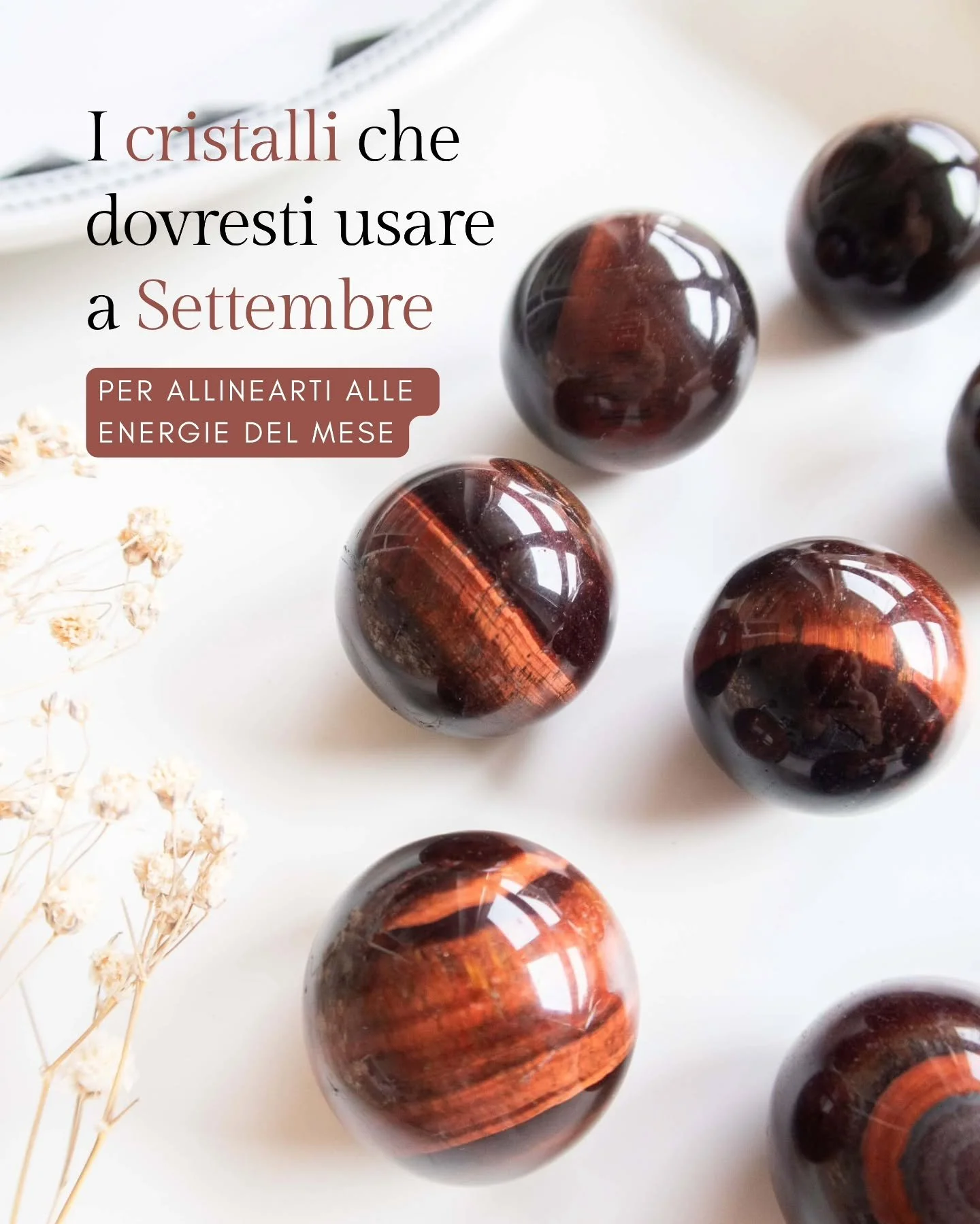 Settembre &egrave; un mese di passaggio che segna cambiamenti e nuovi inizi 🍂 L'energia di questo periodo ci invita a fare ordine, ritrovare equilibro e passare all'azione.

Per aiutarti a navigare queste energie ho selezionato i cristalli perfetti 