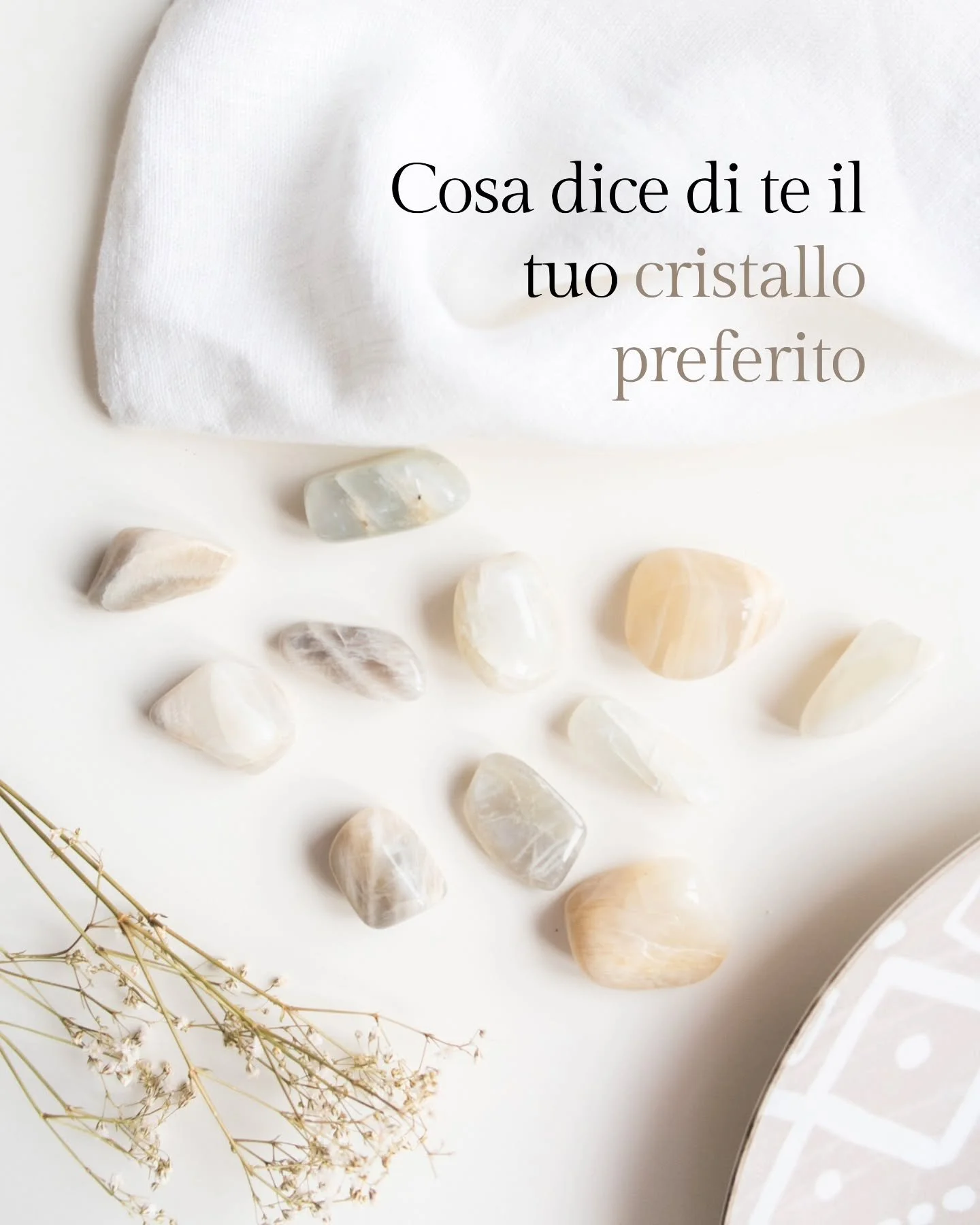 Cosa dice di te il tuo cristallo preferito? ✨️

Spesso il cristallo che ci attira di pi&ugrave; pu&ograve; riflettere aspetti della nostra personalit&agrave;, energie con cui risuoniamo o qualcosa che stiamo vivendo in questo momento della nostra vit