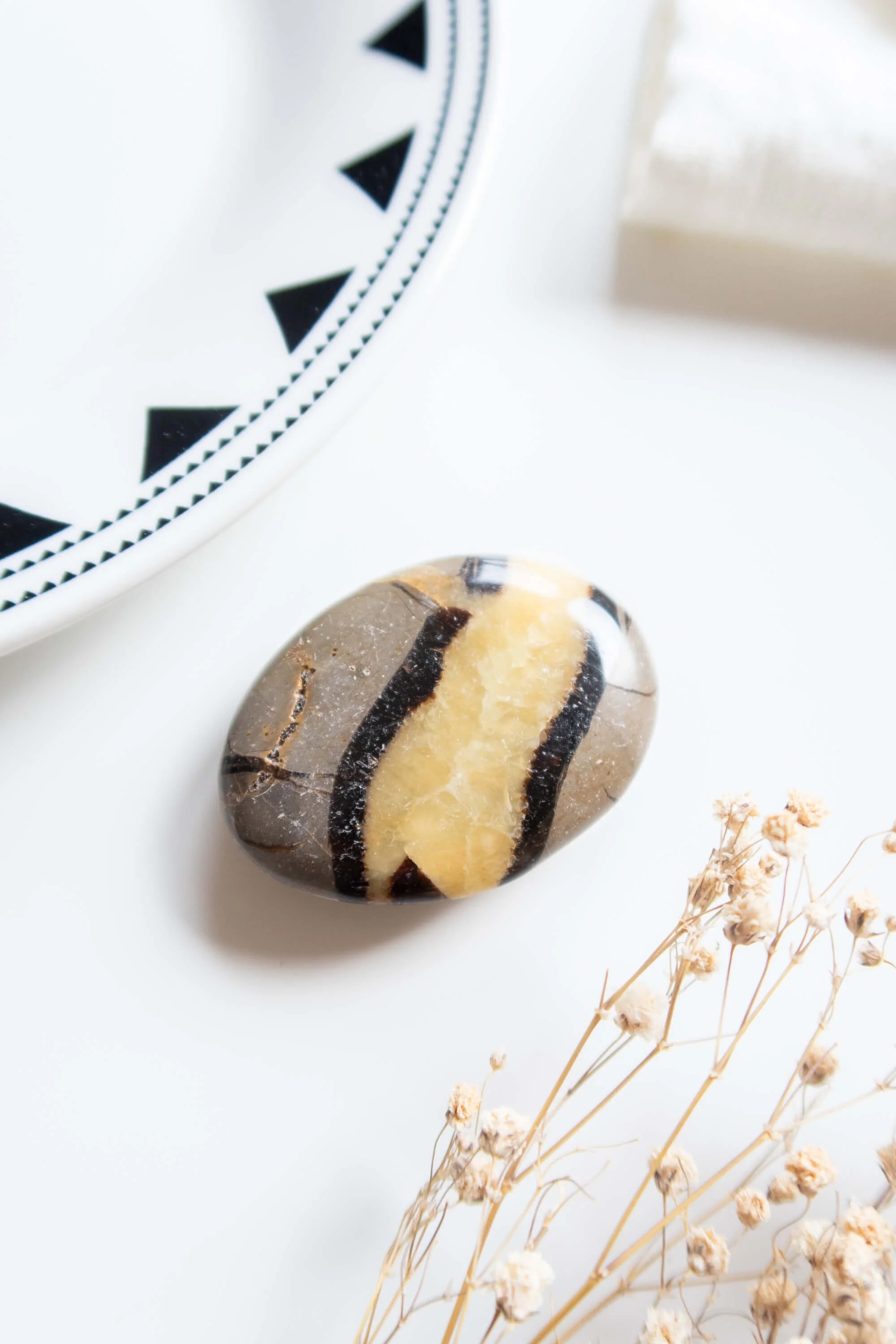 palm-stone-di-septaria (5).jpg