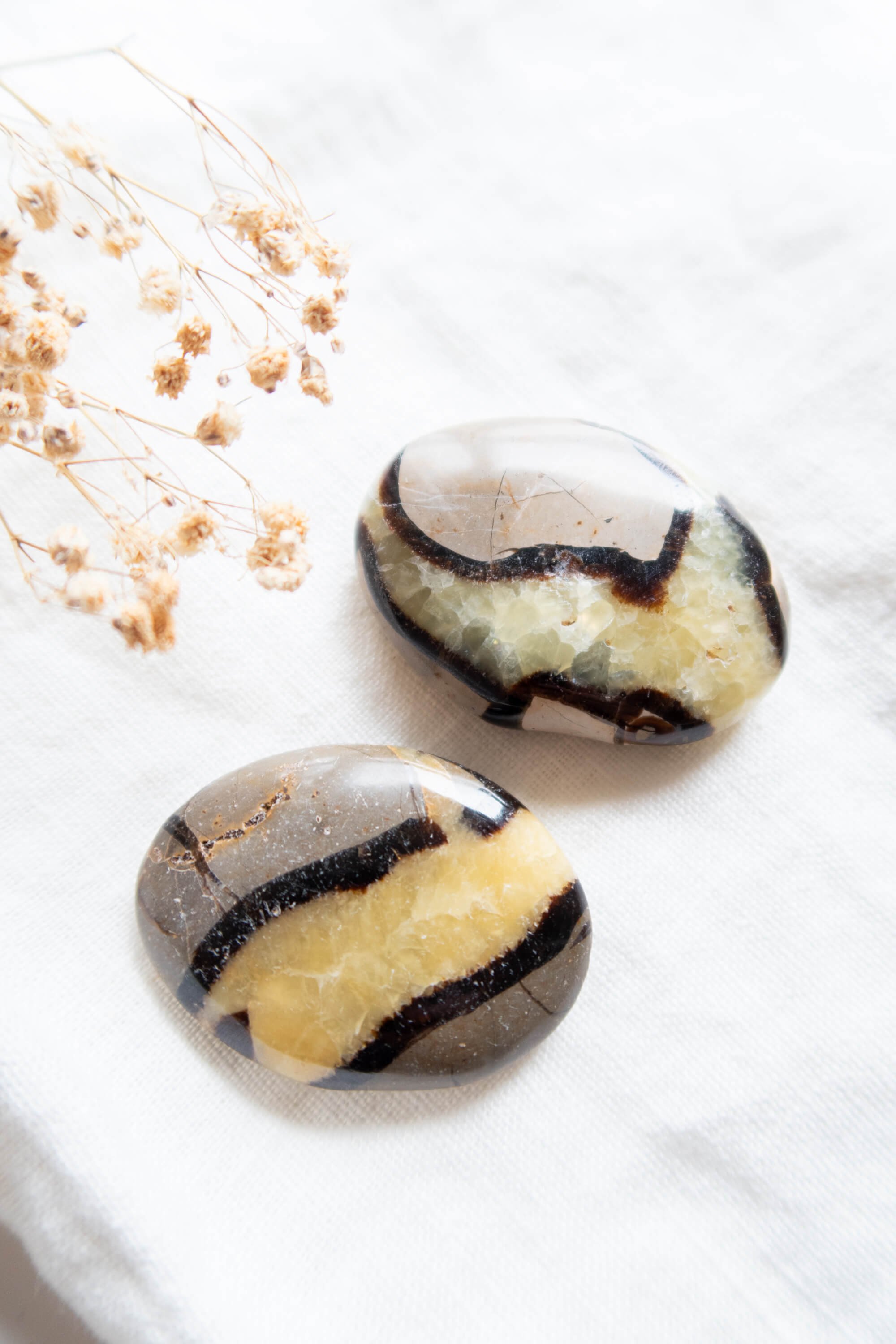 palm-stone-di-septaria (4).jpg