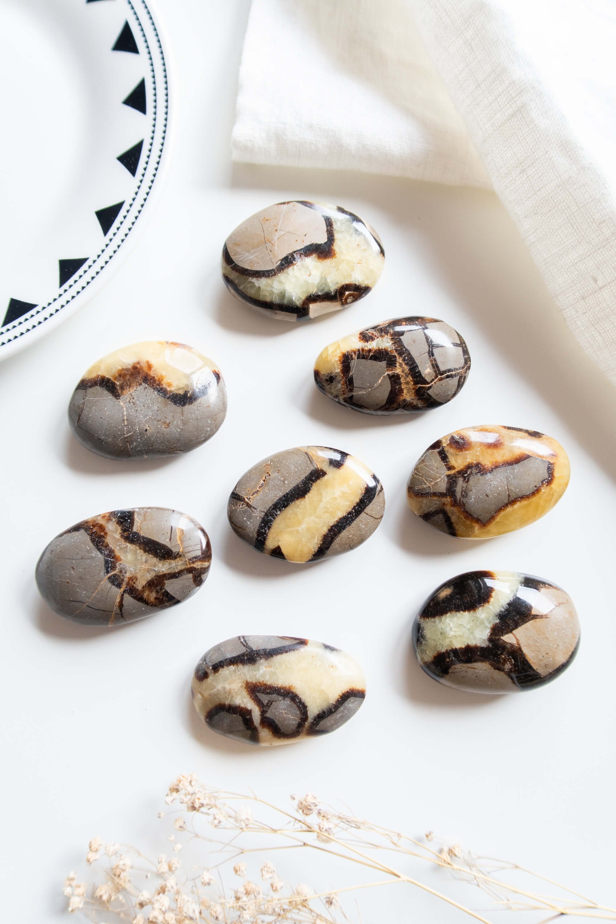 palm-stone-di-septaria (2).jpg