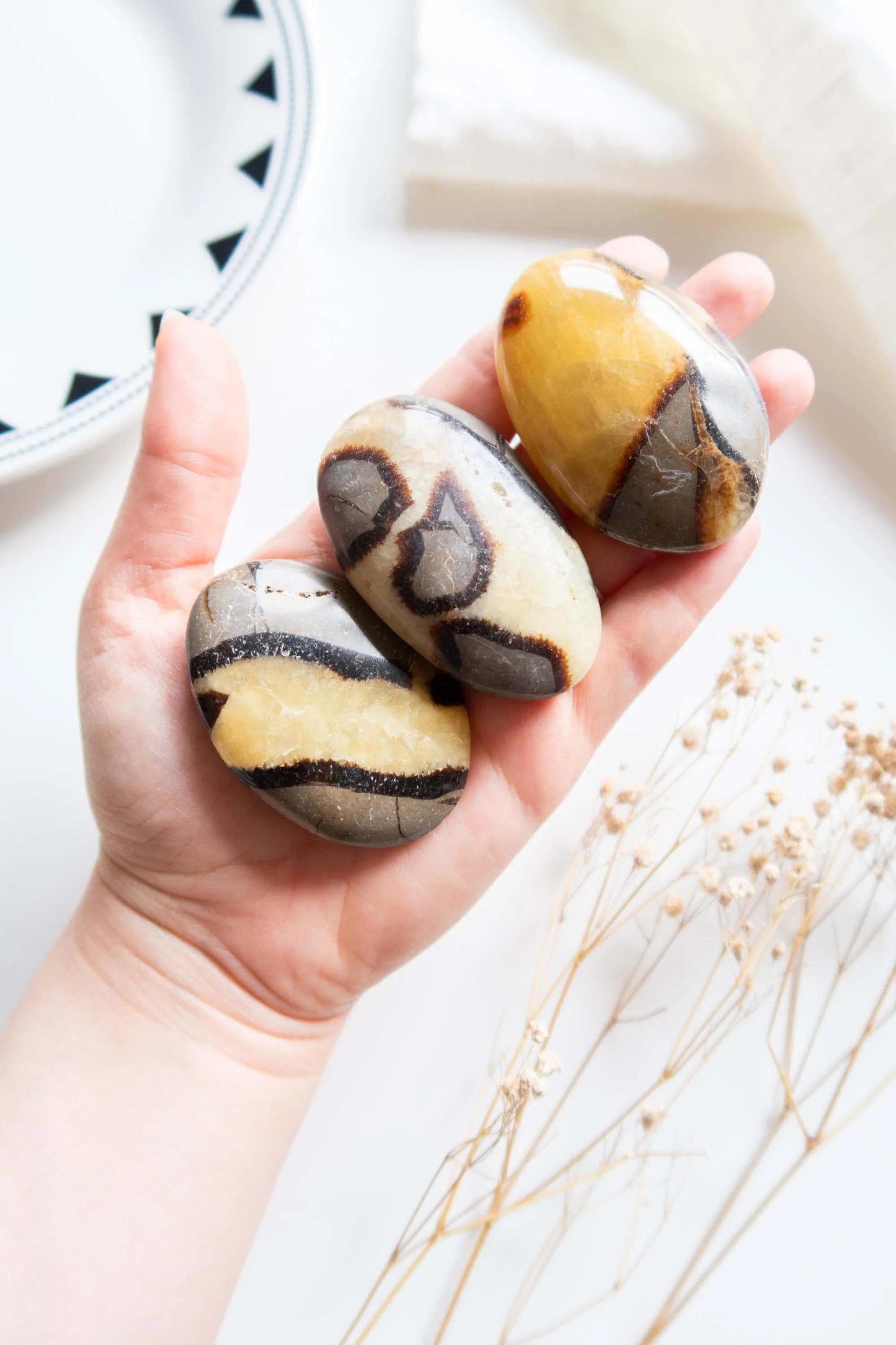 palm-stone-di-septaria (1).jpg