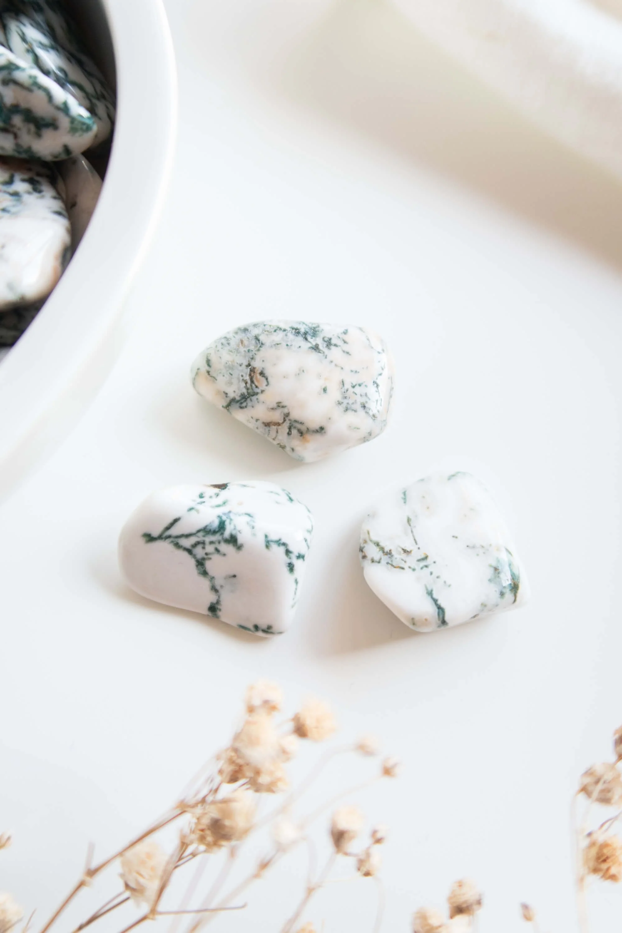 Pietra burattata di Agata Albero