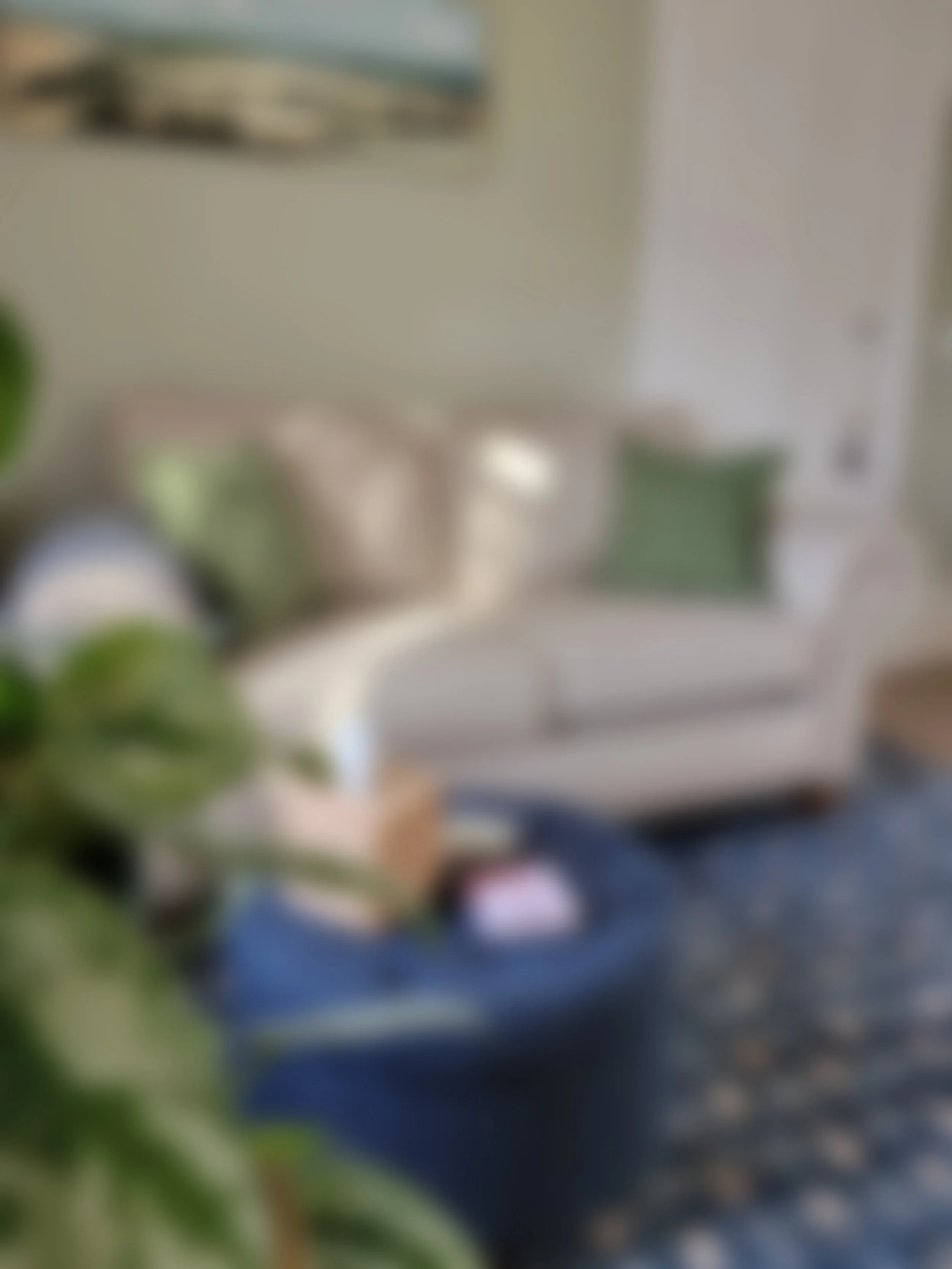 A slightly blurred image of a therapist's office, with a variegated pothos vine in the foreground, and a beige sofa with green pillows in the background. There is a landscape painting on the wall above the sofa depicting a blue sky and rolling hills