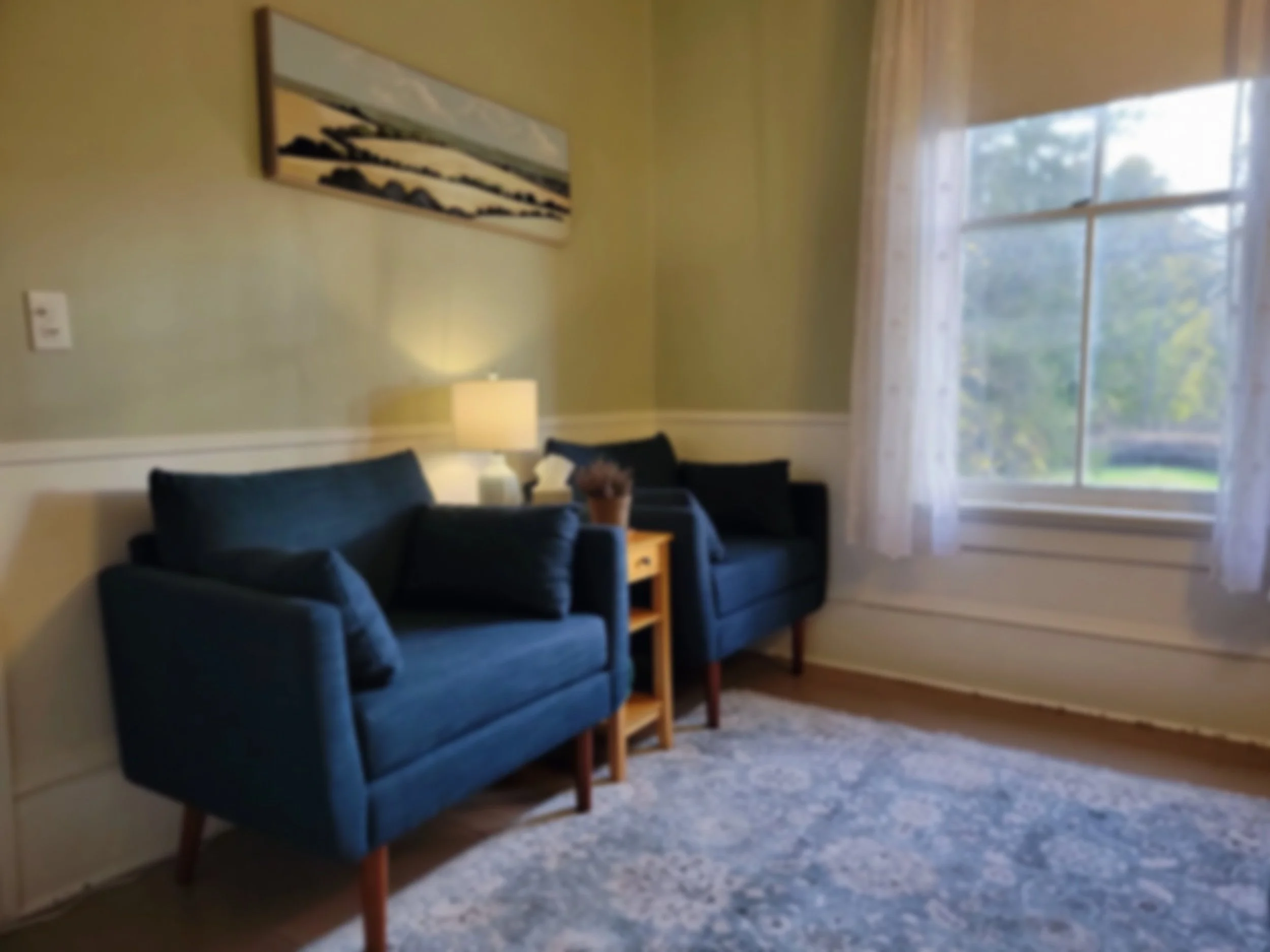 Waiting room with two blue armchairs, side table with a potted plant, and a white lamp. There is a window with sheer curtains and a painting of a landscape on the wall. The floor has a blue, patterned area rug.