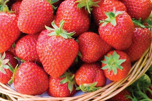 Honeye Strawberries