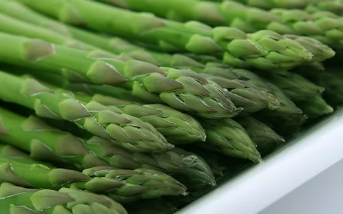 Asparagus-Jersey Giant