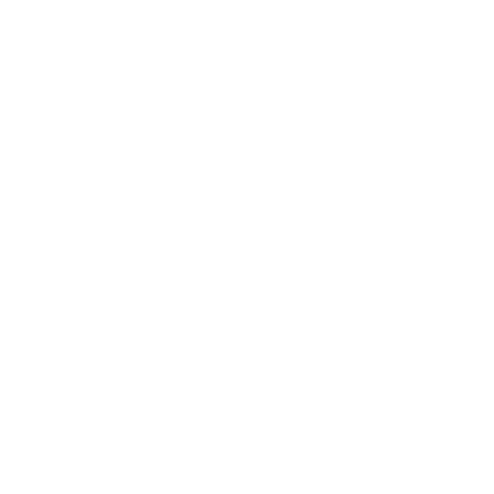 Base Moves | Reformer + Mat Pilates Studio | Based in Durham, NC