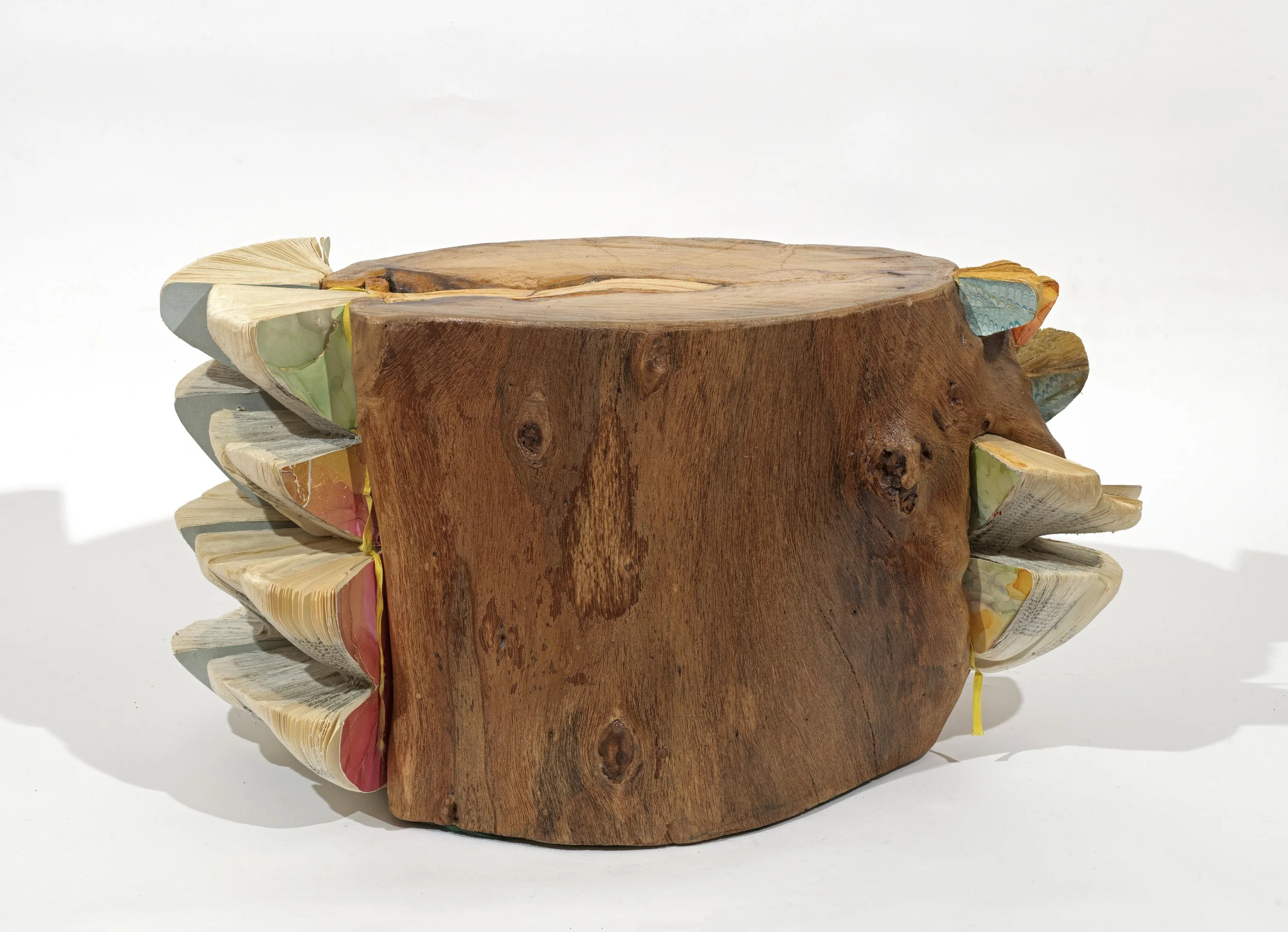 Woodlogs_mitrentse.jpg