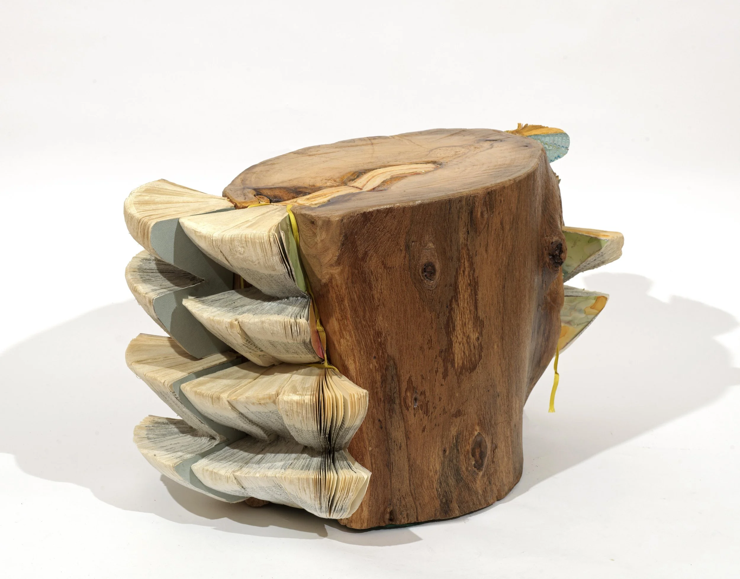 wood_log_mitrentse_b.jpg