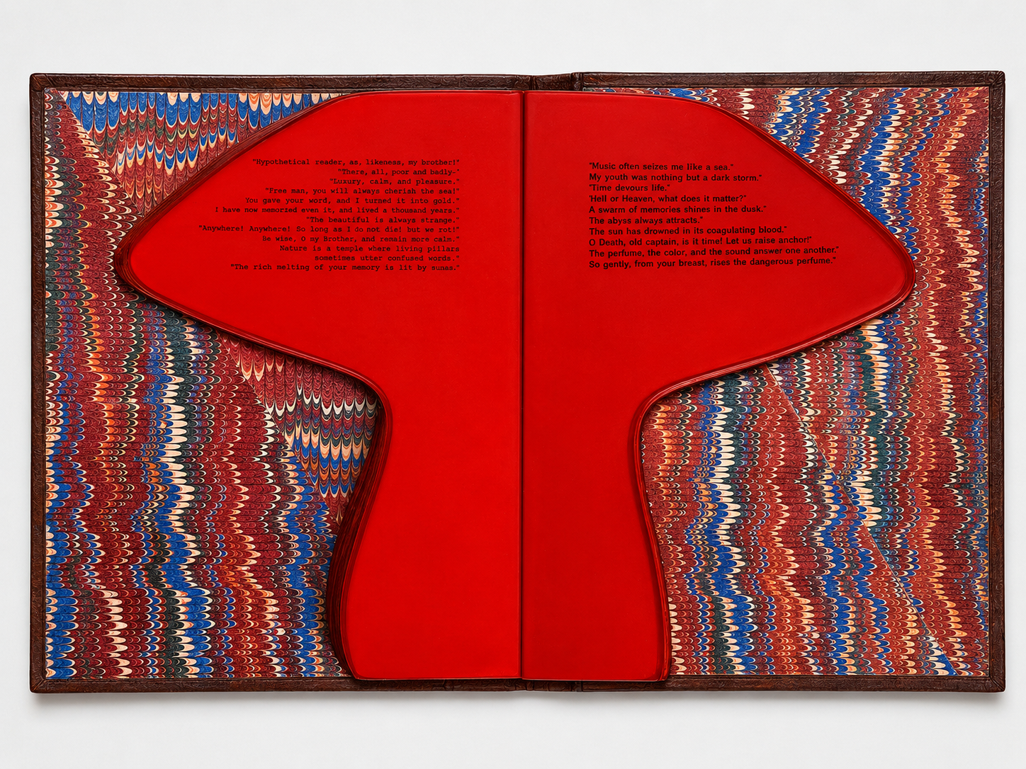 CENSORED - FUNGI BOOK– Le Fluer- Du Mond, 2026. 
Handcrafted and cut book, marbled paper, acrylic paint, and wood.
26 × 42 x 1 cm.