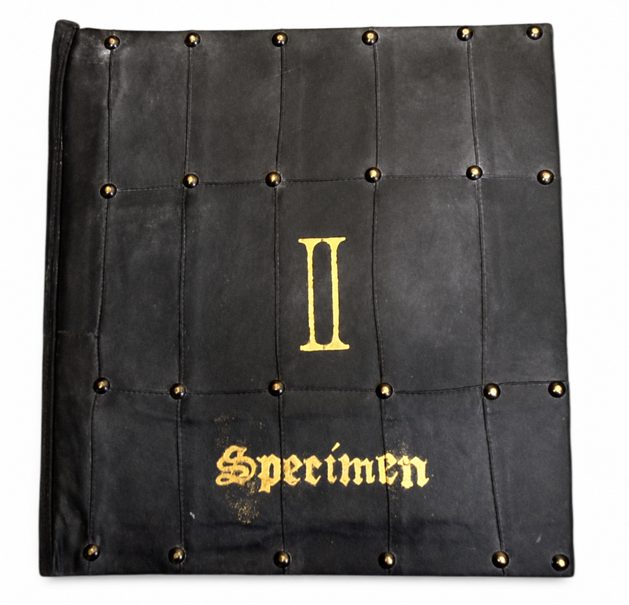 SPECIMEN II, 2005
Hand made leather-bound book, hand-stitched, analogue photographic archive, 400gsm paper, gold leaf lettering, 50 x 30 cm, private collection Thessaloniki