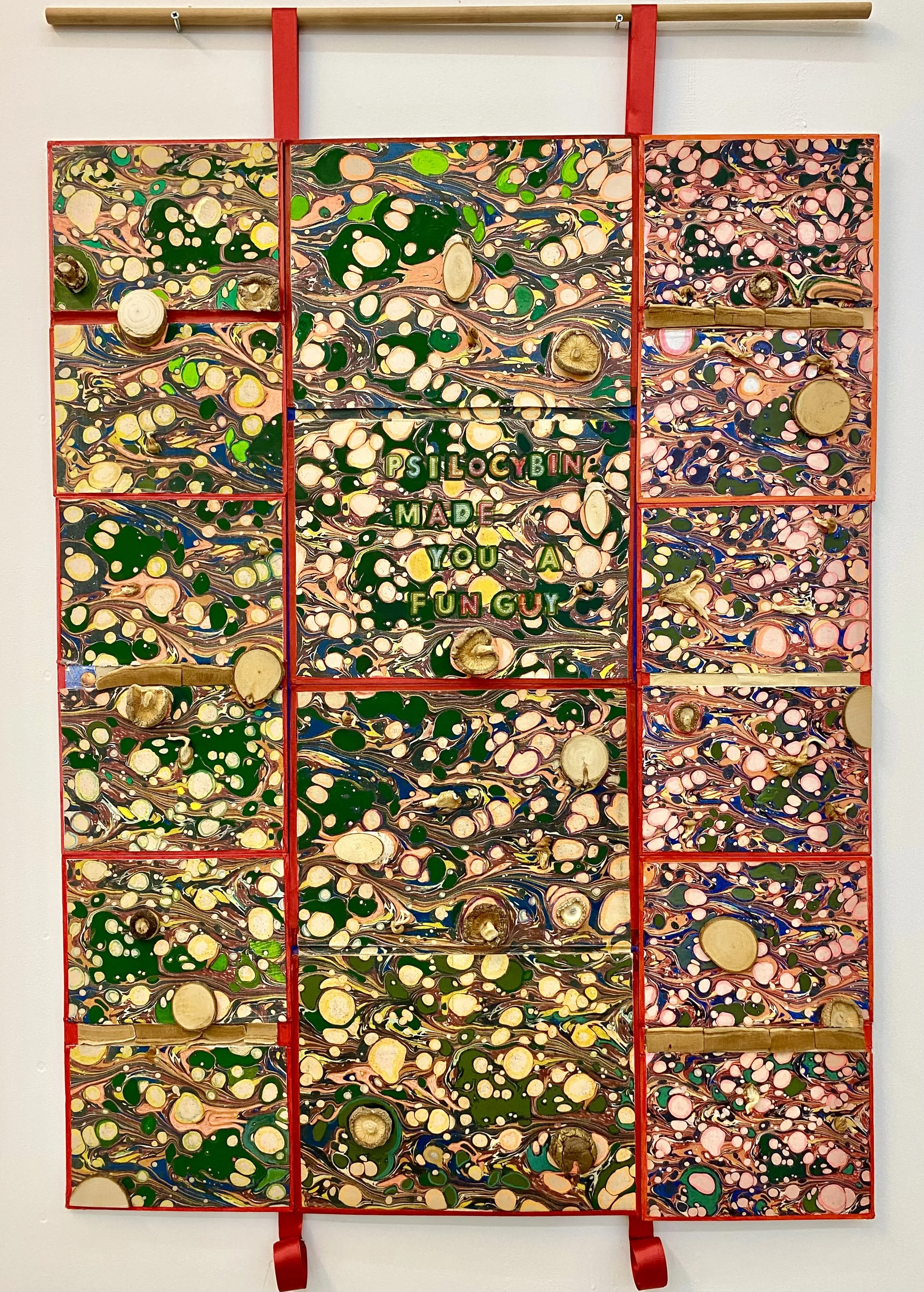 Psilocybin_Made_you_afunguy_bookscape_XIV.jpg