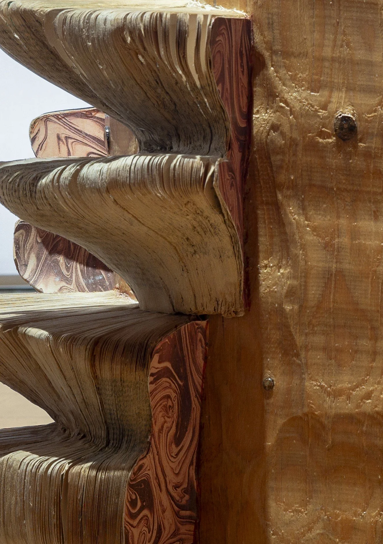 Fungi Log II Detail– NUGRYBAUTI, 2024.
Wood log, books, marbling paper,
varnish, 45 × 58 cm