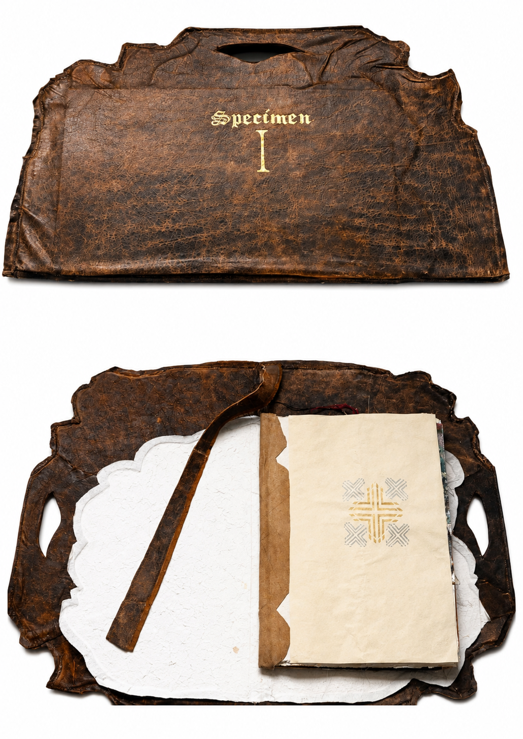 SPECIMEN I, 2005, Hand made leather-bound file bag, hand-stitched, analogue photographic archive, 400gsm paper, gold leaf, 60 x 40 cm 