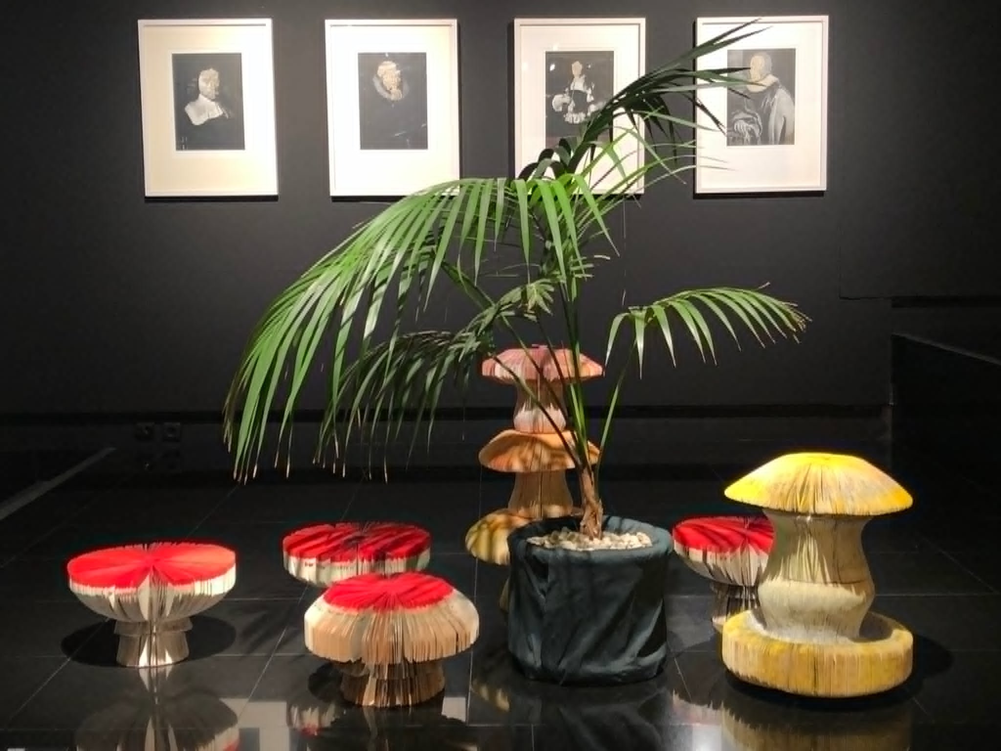 Fungi Installation (Installation View)
2025
Hellenic American Union Gallery, Athens.
Mixed-media installation.
Dimensions variable.
