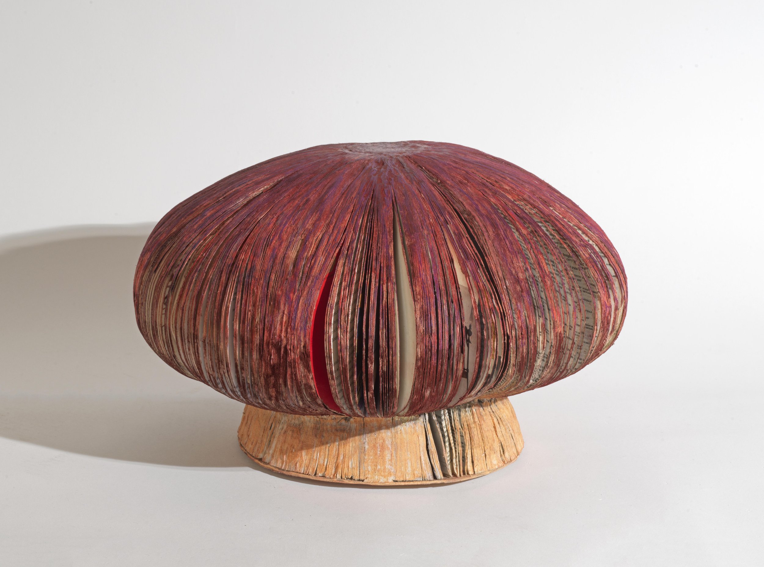 King Bolete, the Pine-Loving Mushroom
2025
Hand-cut books, soft pastel dust, varnish.
35 × 35 × 25 cm.