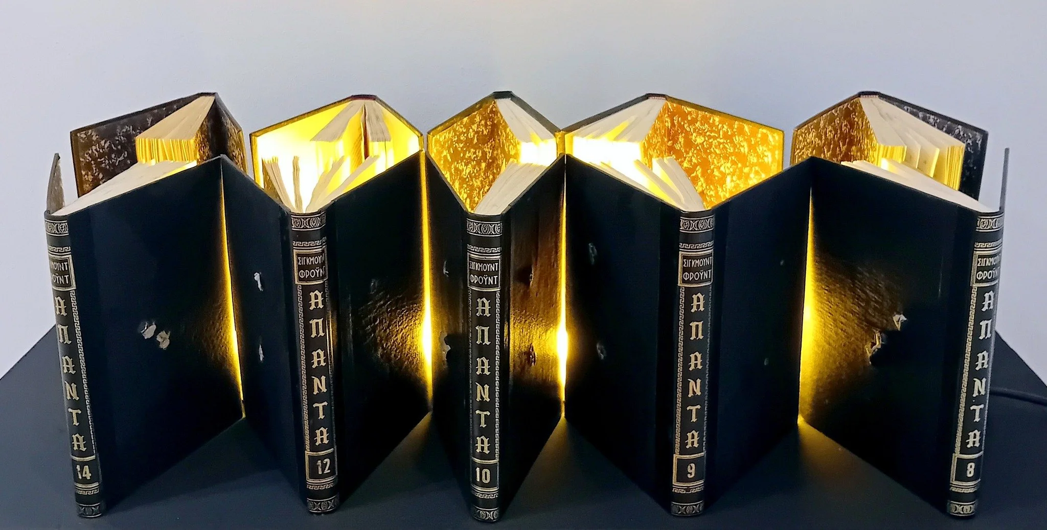 FREUD- COMPLETE VOLUMES (Wounded book series ), 2022
Bullet-riddled collector's editions of Freud's psychology volumes, neon light, 100x30x37 cm.
