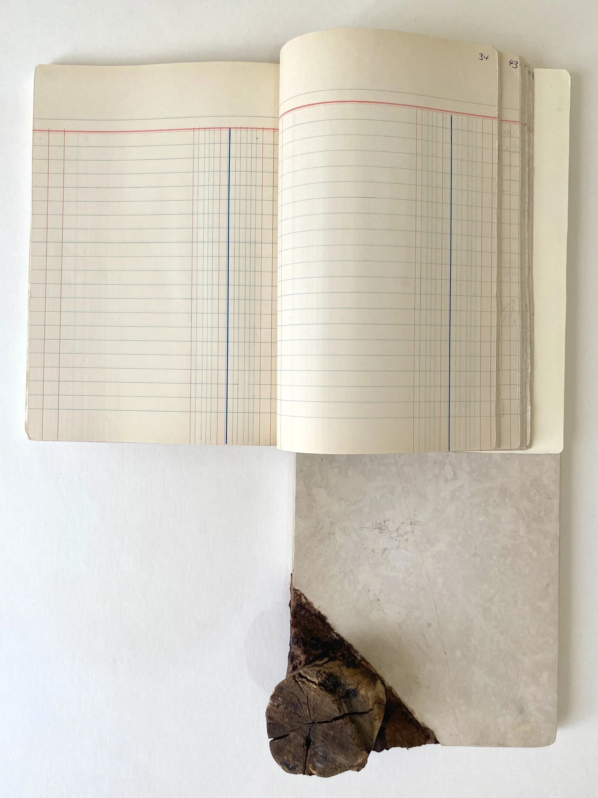 POET'S NOTEBOOK 2026
Handcrafted notebook, marble, wooden branch, clay
30 × 15 × 6 cm