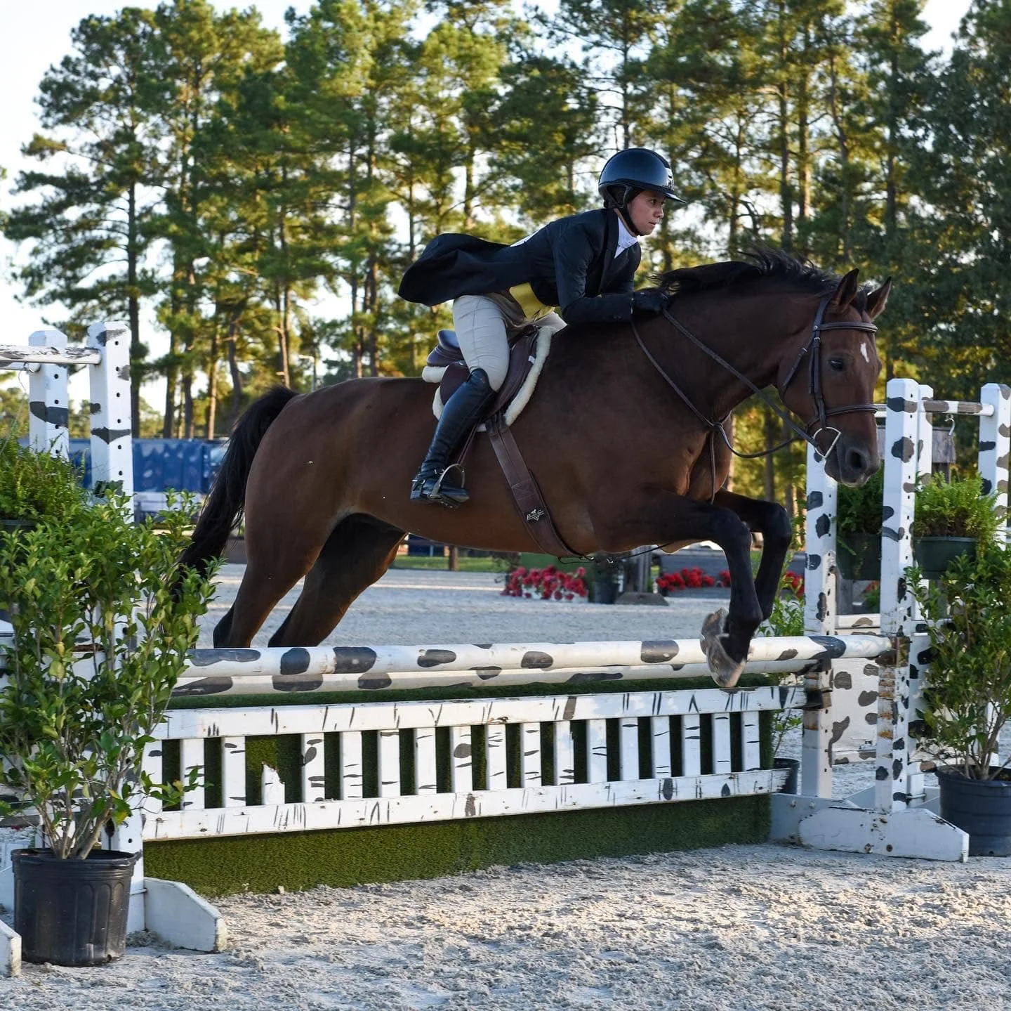 Triton Stables