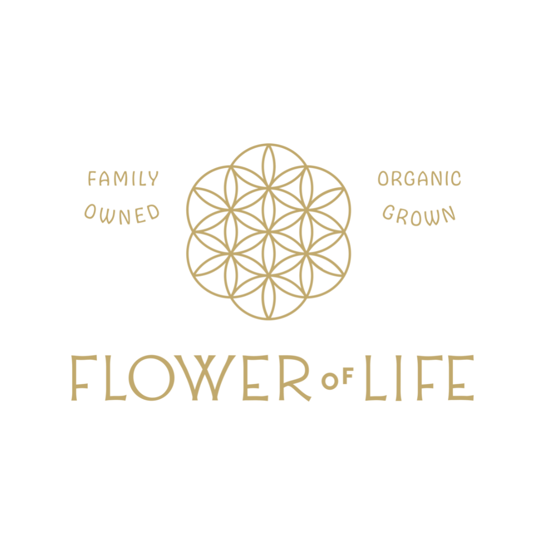 General 1 — Flower of Life, image size:1080x1080
