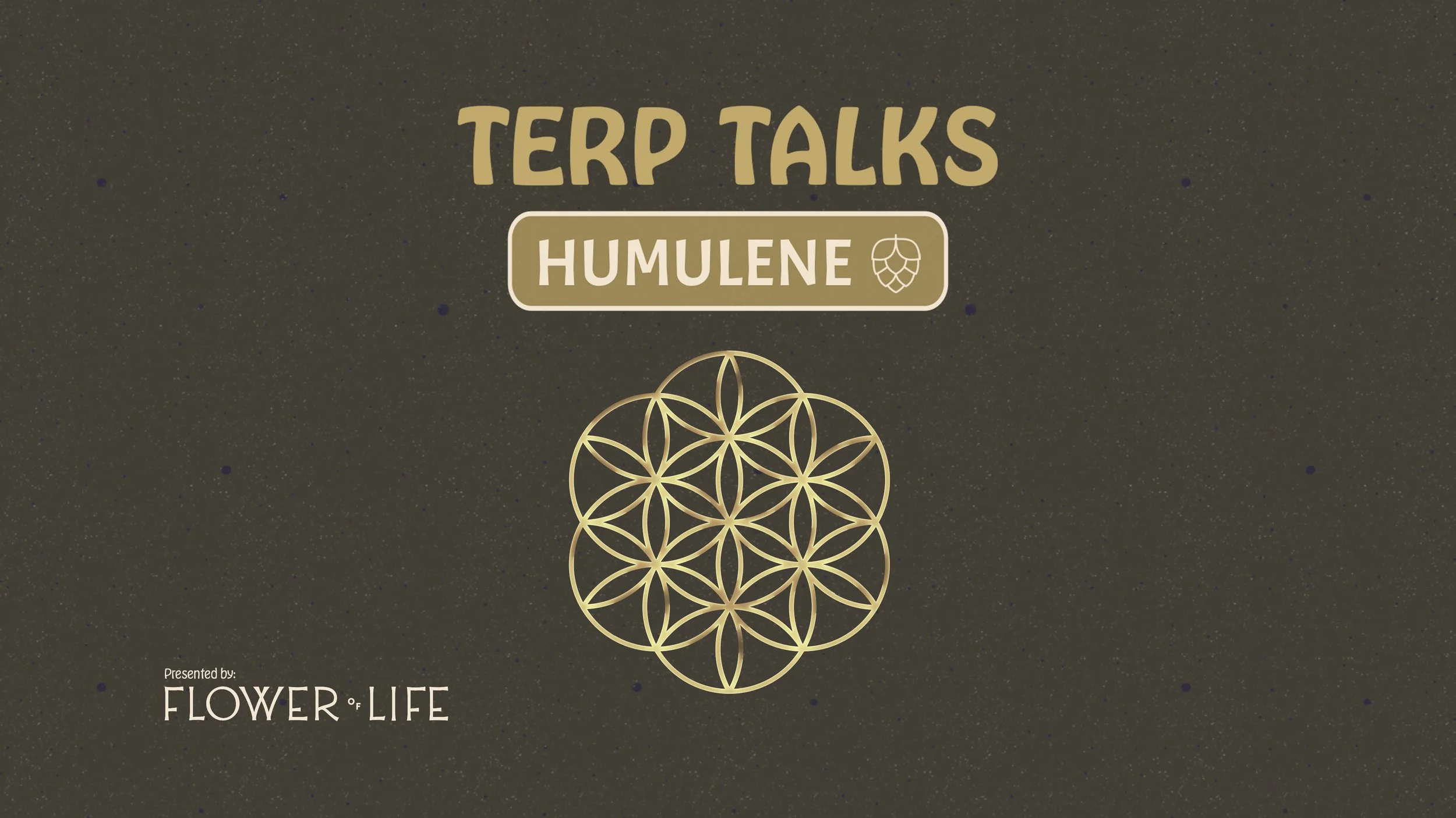 Thumbnail(3840x2160)-TerpTalks-Humulene.jpg