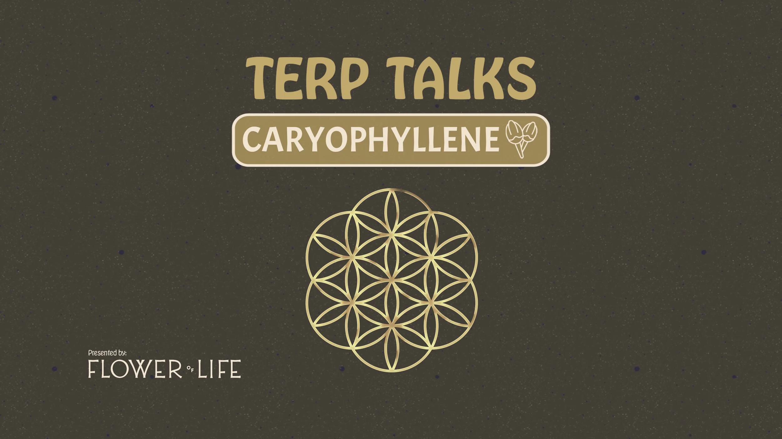 Thumbnail(3840x2160)-TerpTalks-Caryophyllene.jpg