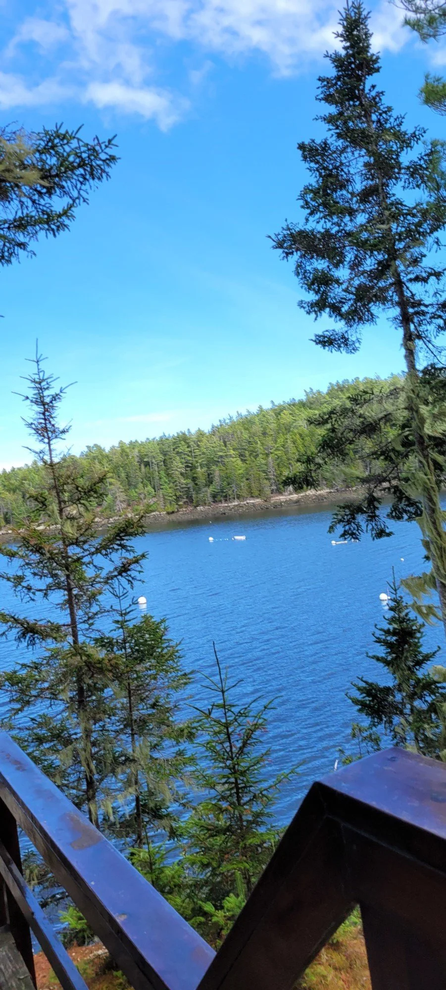 View From The steps.jpg