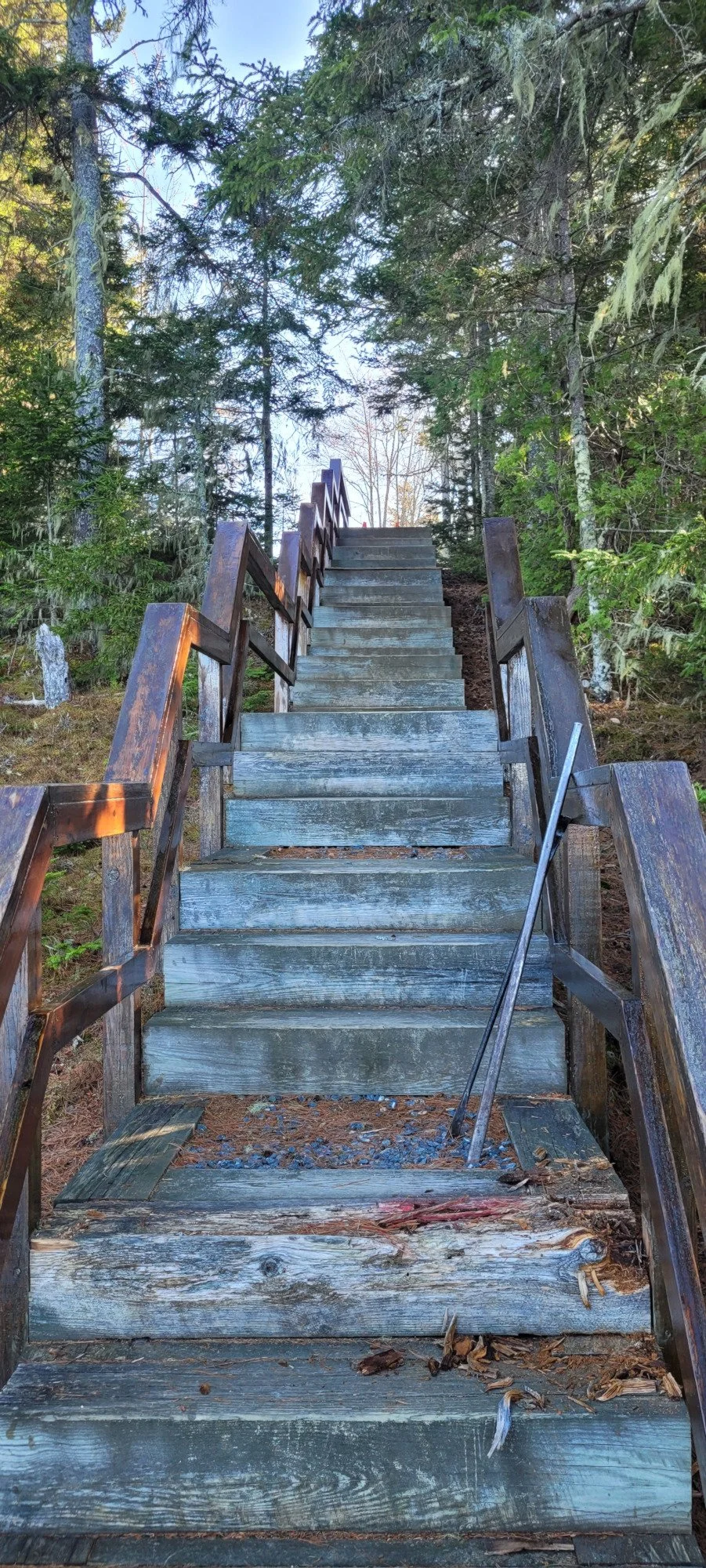 1 Bottom Step Ready for Demo (1).jpg