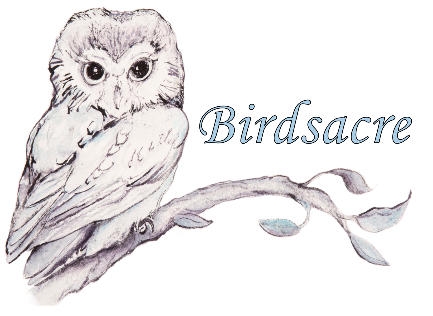 Birdsacre Sanctuary