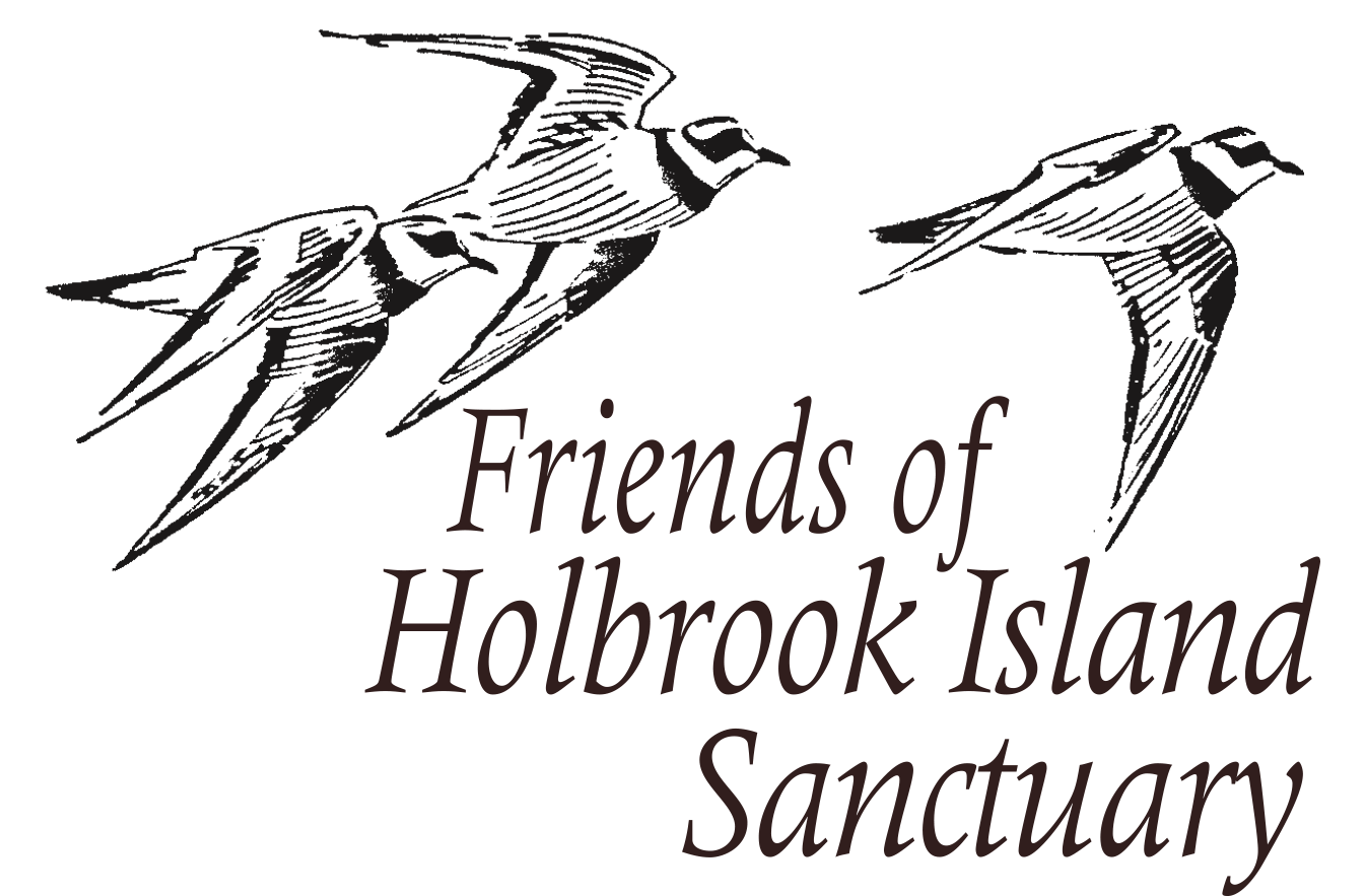 Friends of Holbrook Island Sanctuary