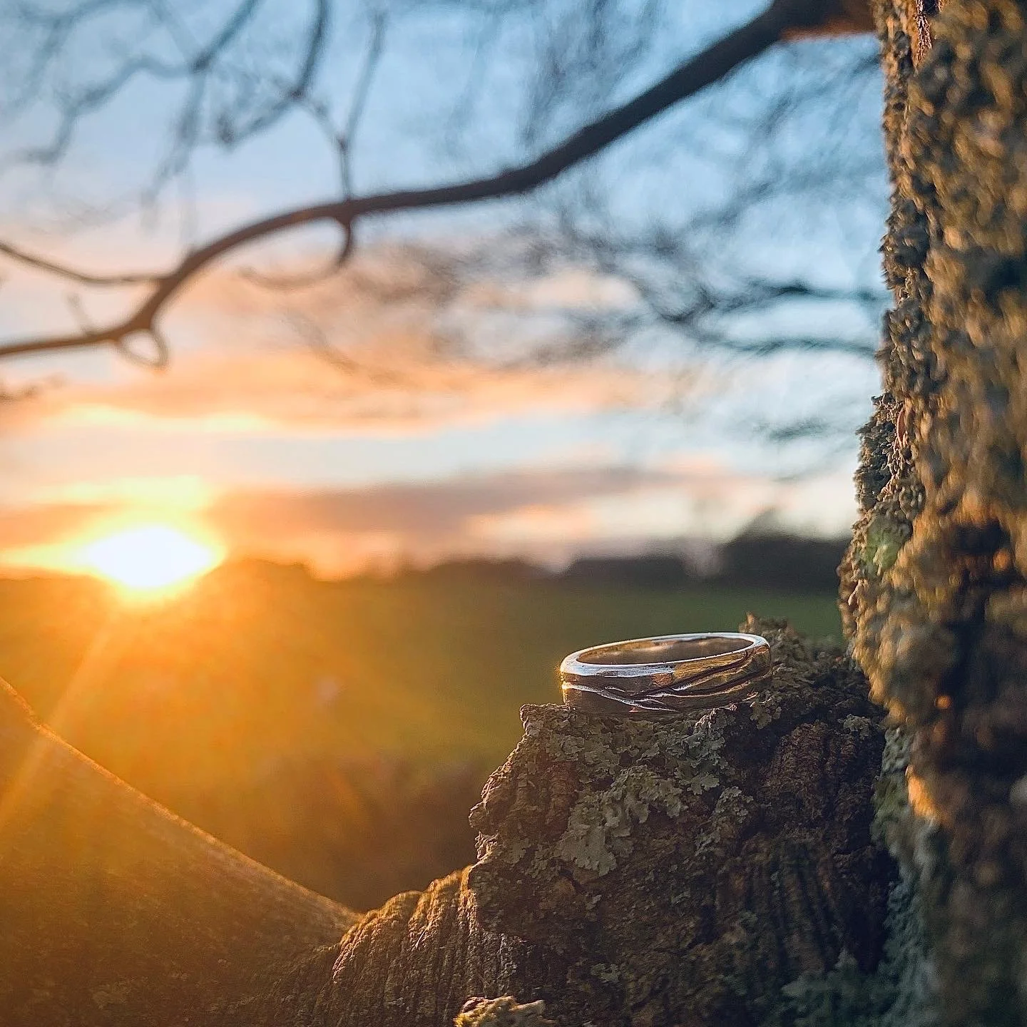 "Branch" Ring in Sterling Silver