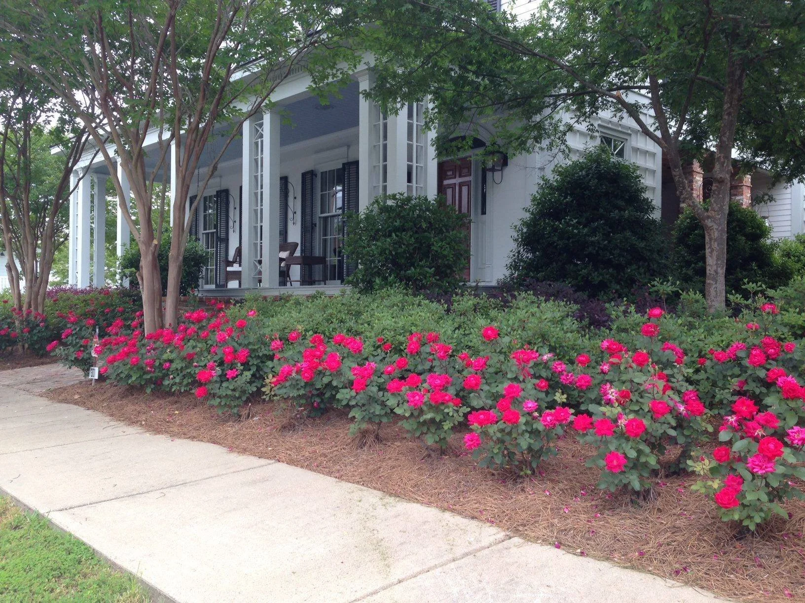 Gallery 1 — Plein Air Taylor