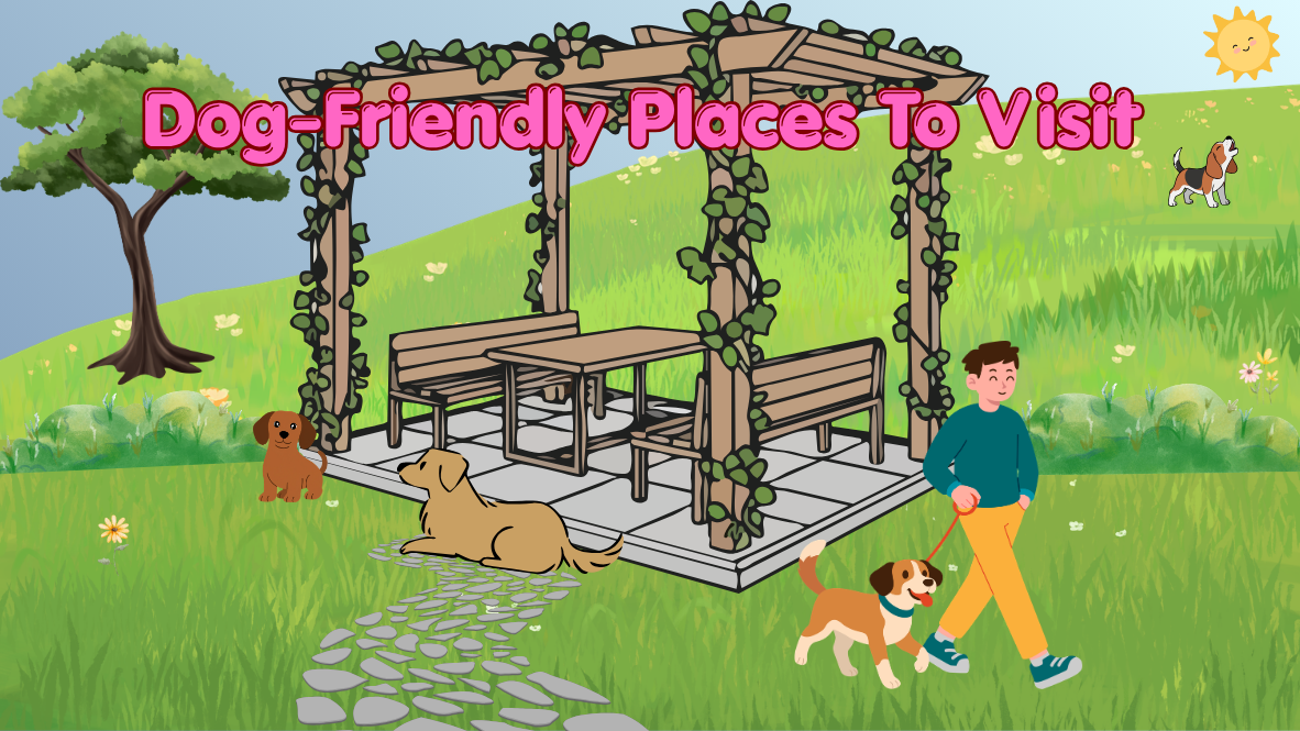 Dog-Friendly Places To Visit