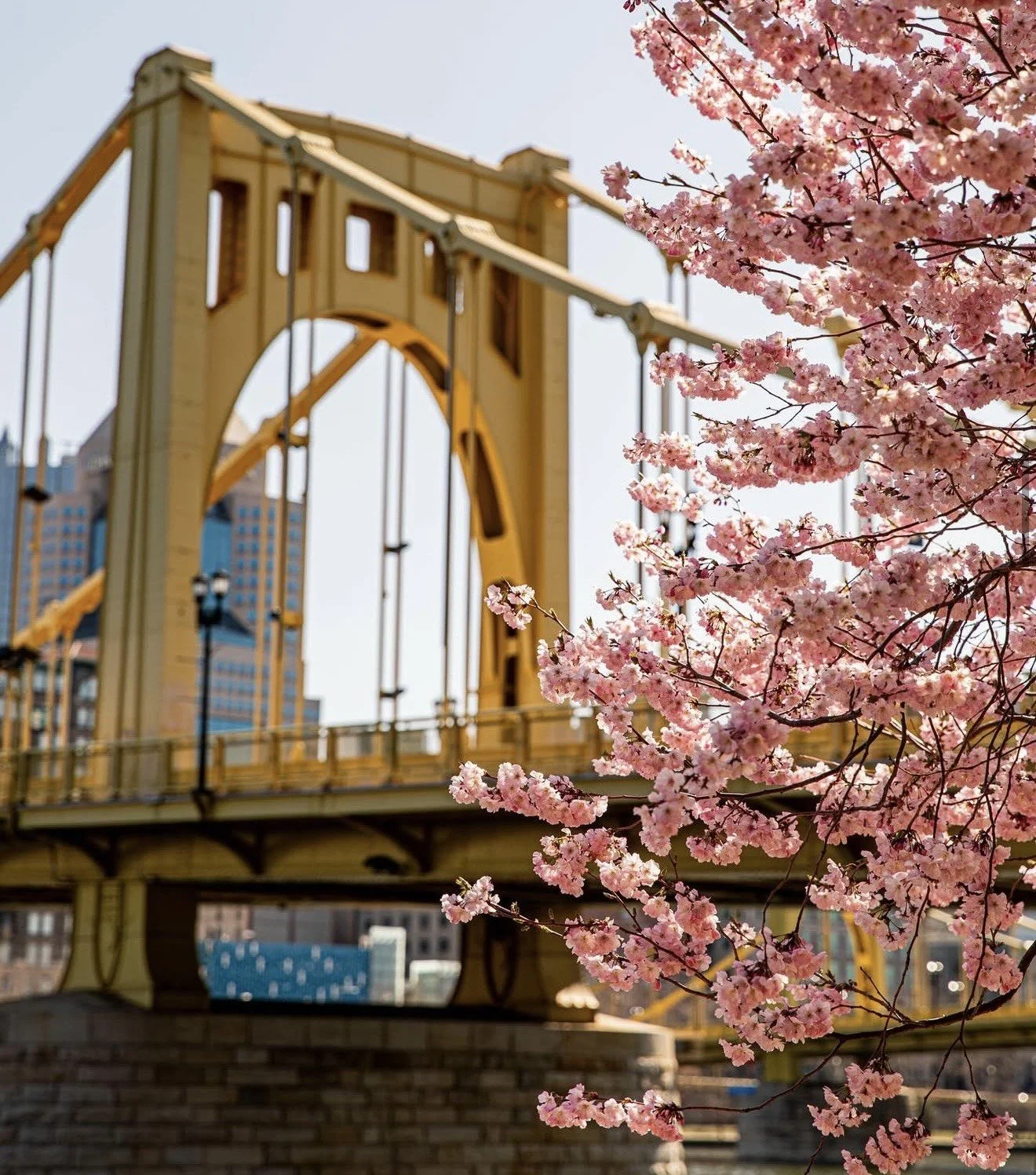 Photographer: Jadyn Barker