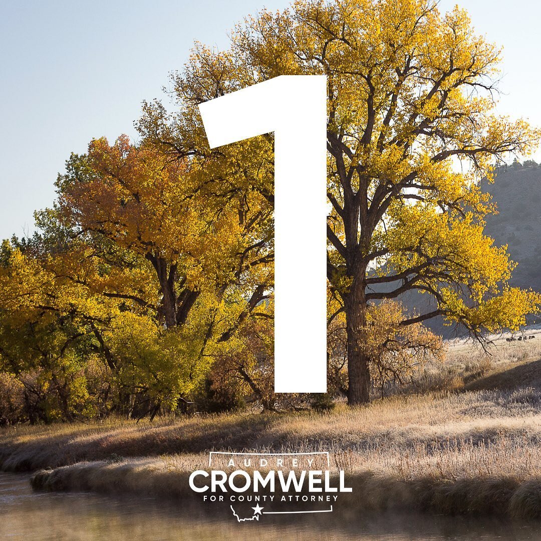 Only 1 day left before Election Day, Tuesday Nov. 8!

A vote for Cromwell for County Attorney will: 
&bull; Protect your children &amp; your community
&bull; Address the mental health crisis
&bull; Prioritize working together to build a better future