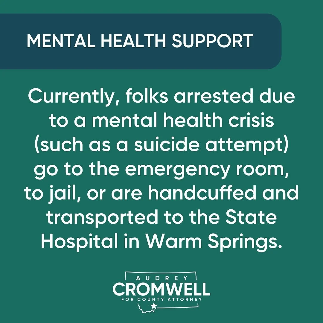 I am very pleased to report that a new justice-health partnership to address mental health within Gallatin County will roll out in 2024!
&nbsp;
Together with the Gallatin Behavioral Health Coalition, we developed an interdisciplinary, 90-day Communit